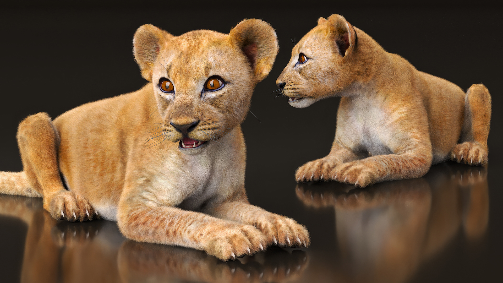 3D Lion Cub Lying Down Fur model