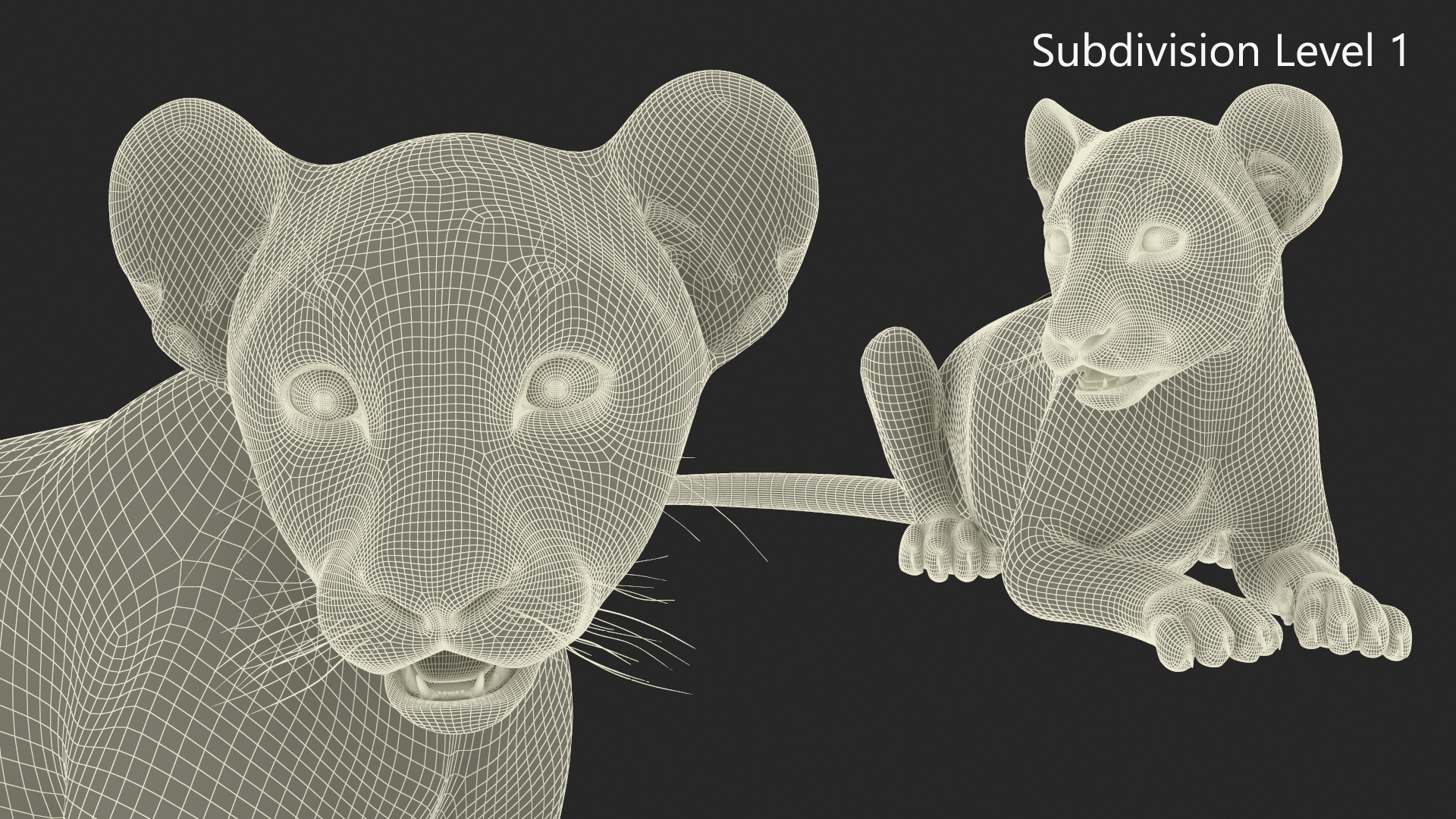 3D Lion Cub Lying Down Fur model