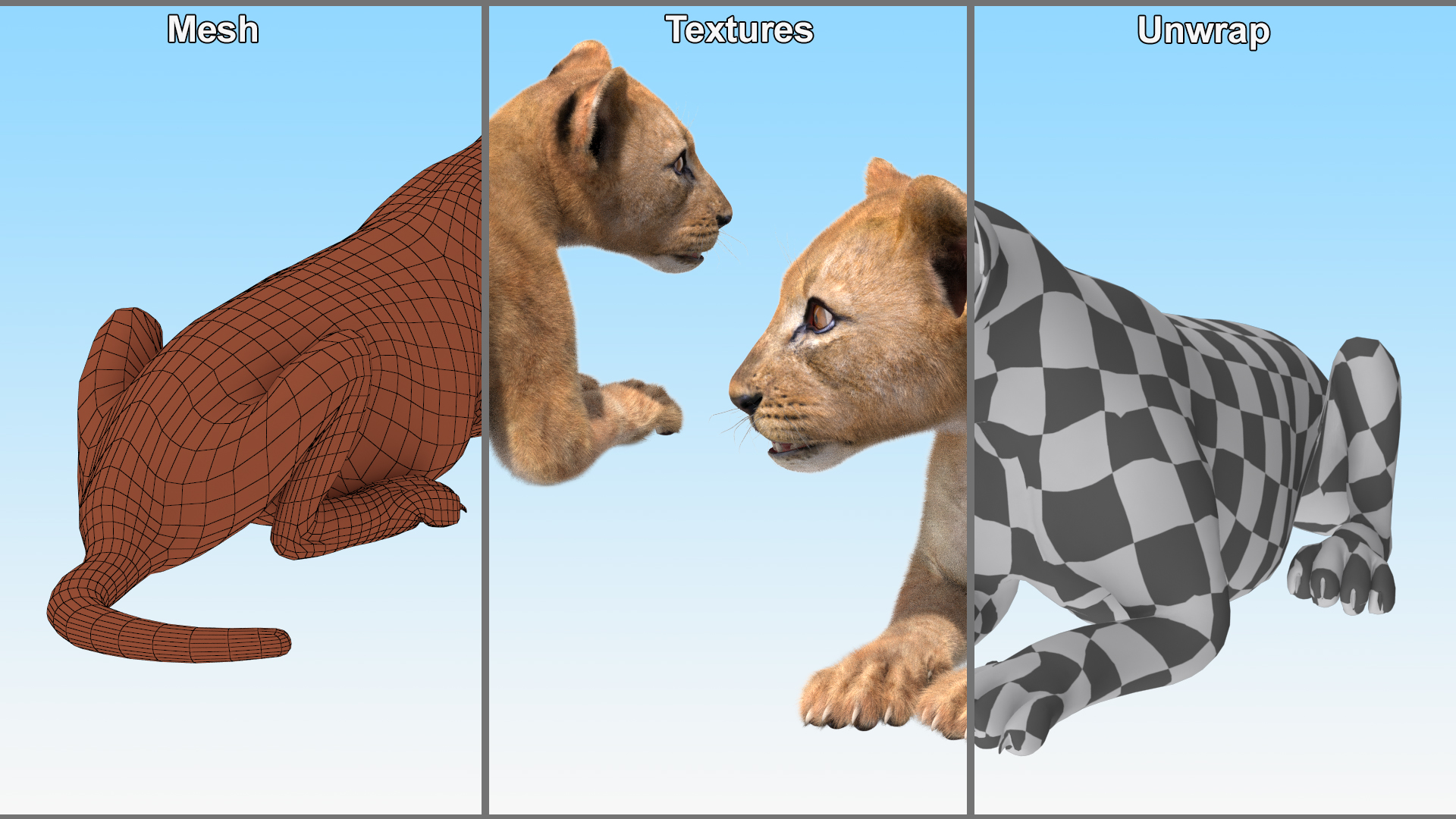 3D Lion Cub Lying Down Fur model