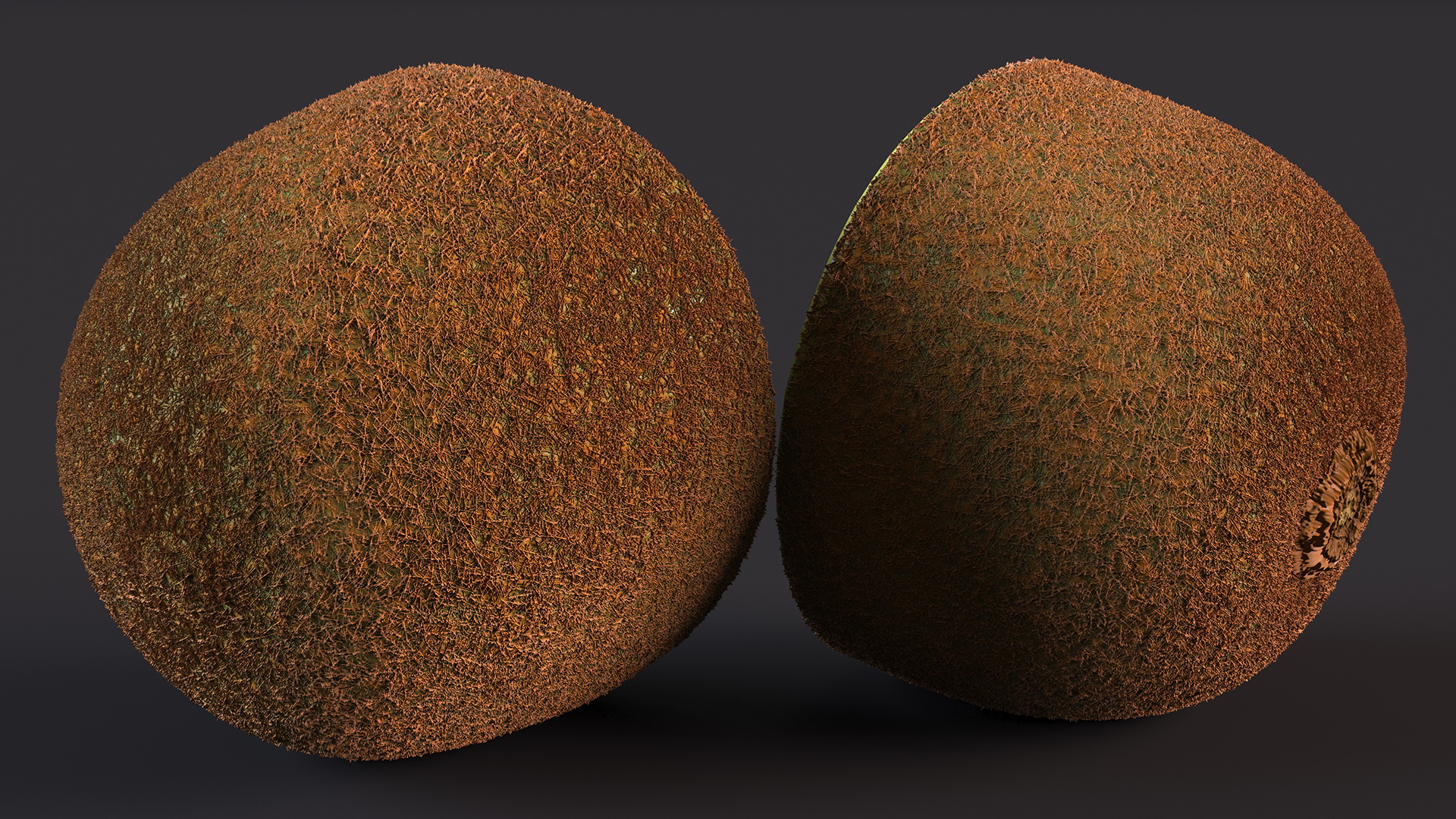 3D Kiwi Halves