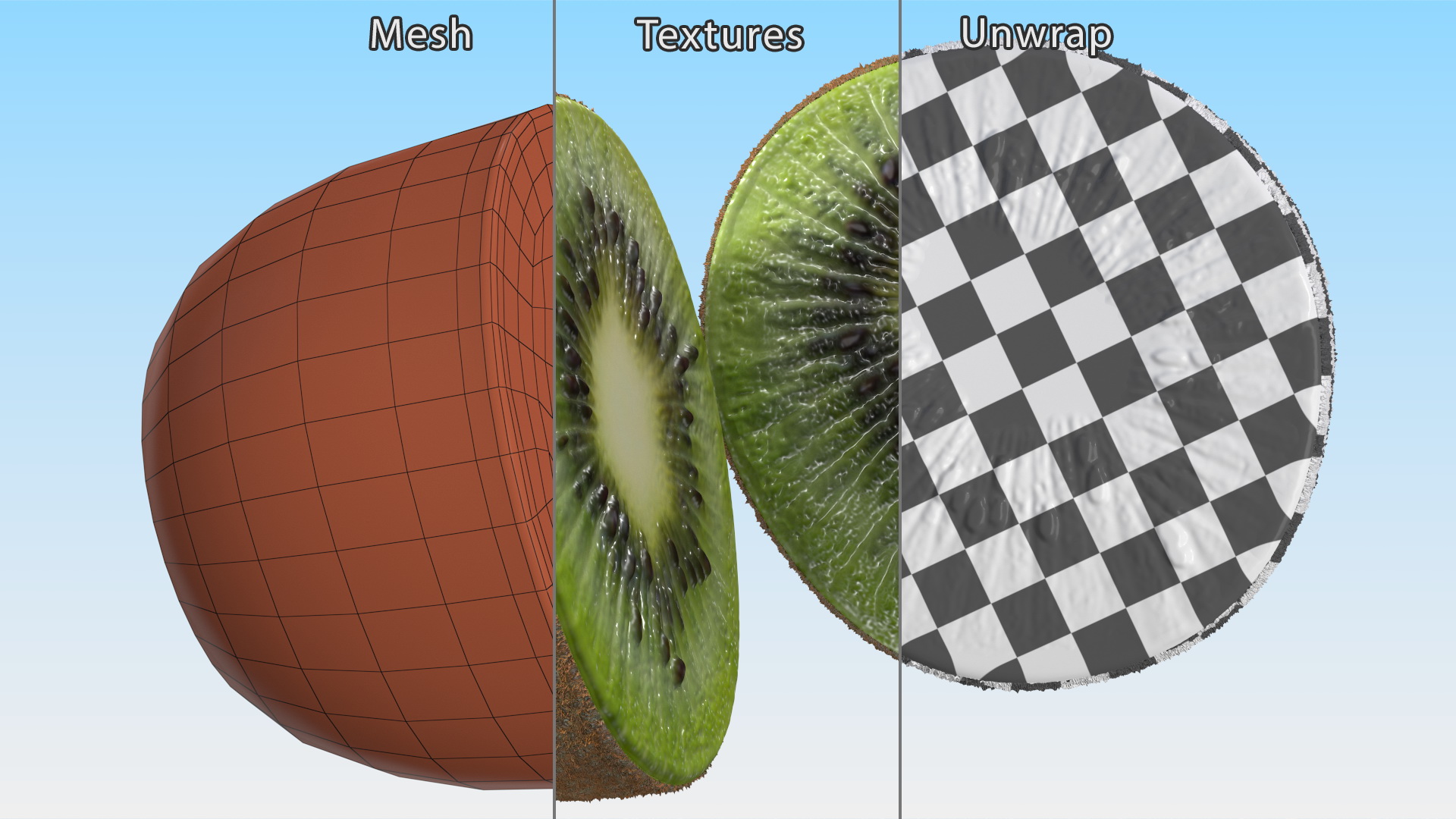 3D Kiwi Halves