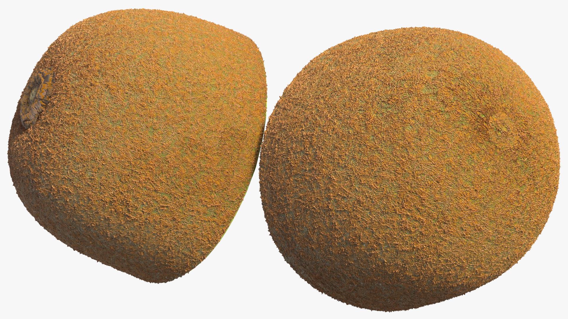 3D Kiwi Halves