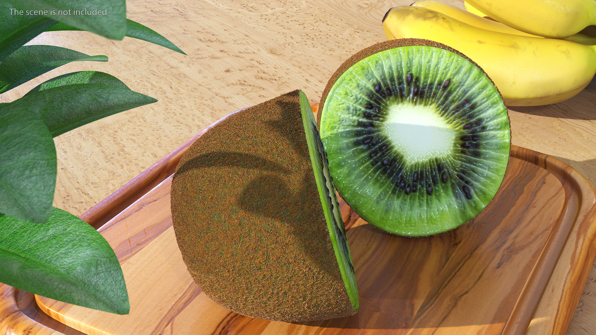 3D Kiwi Halves