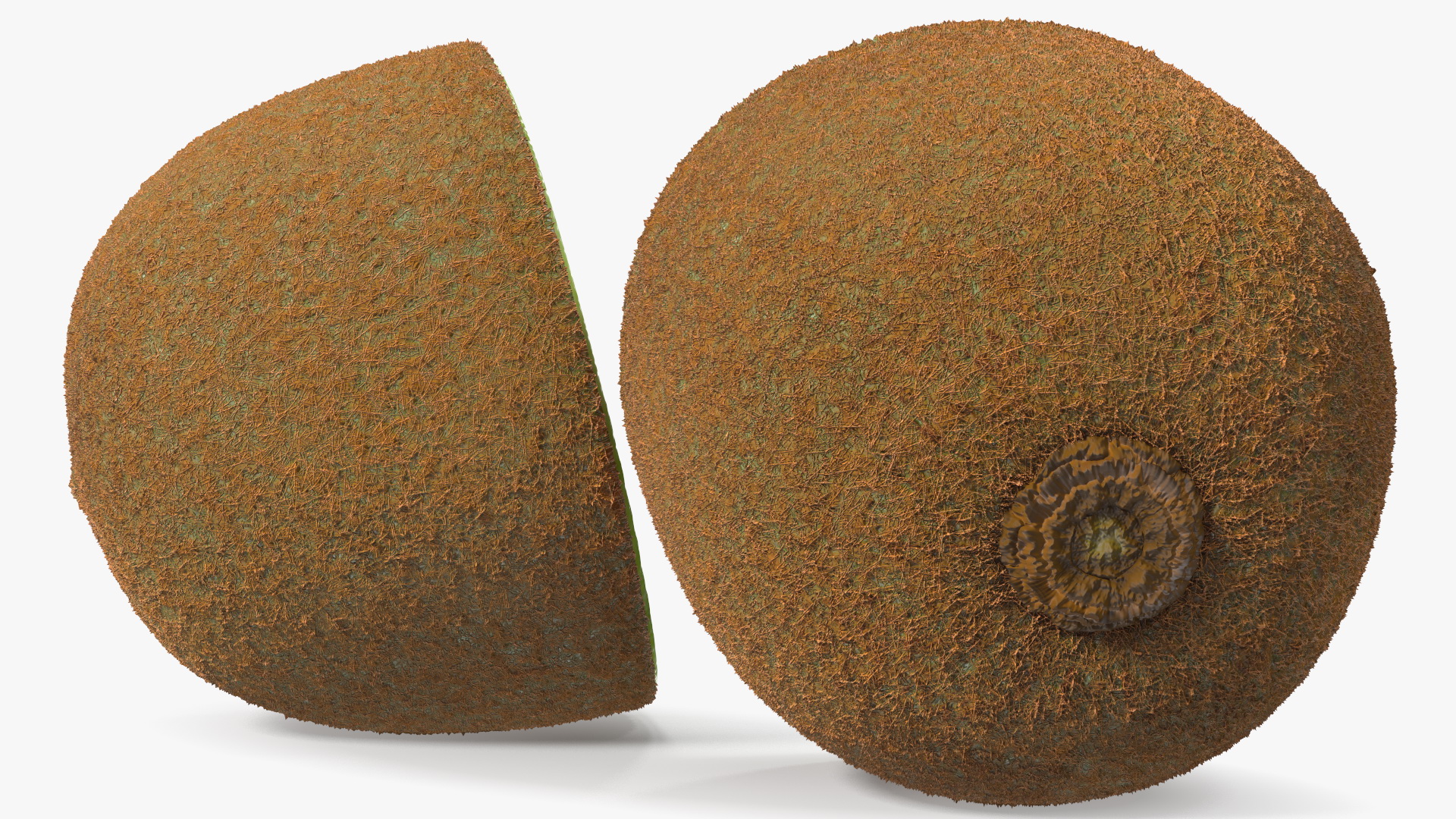 3D Kiwi Halves