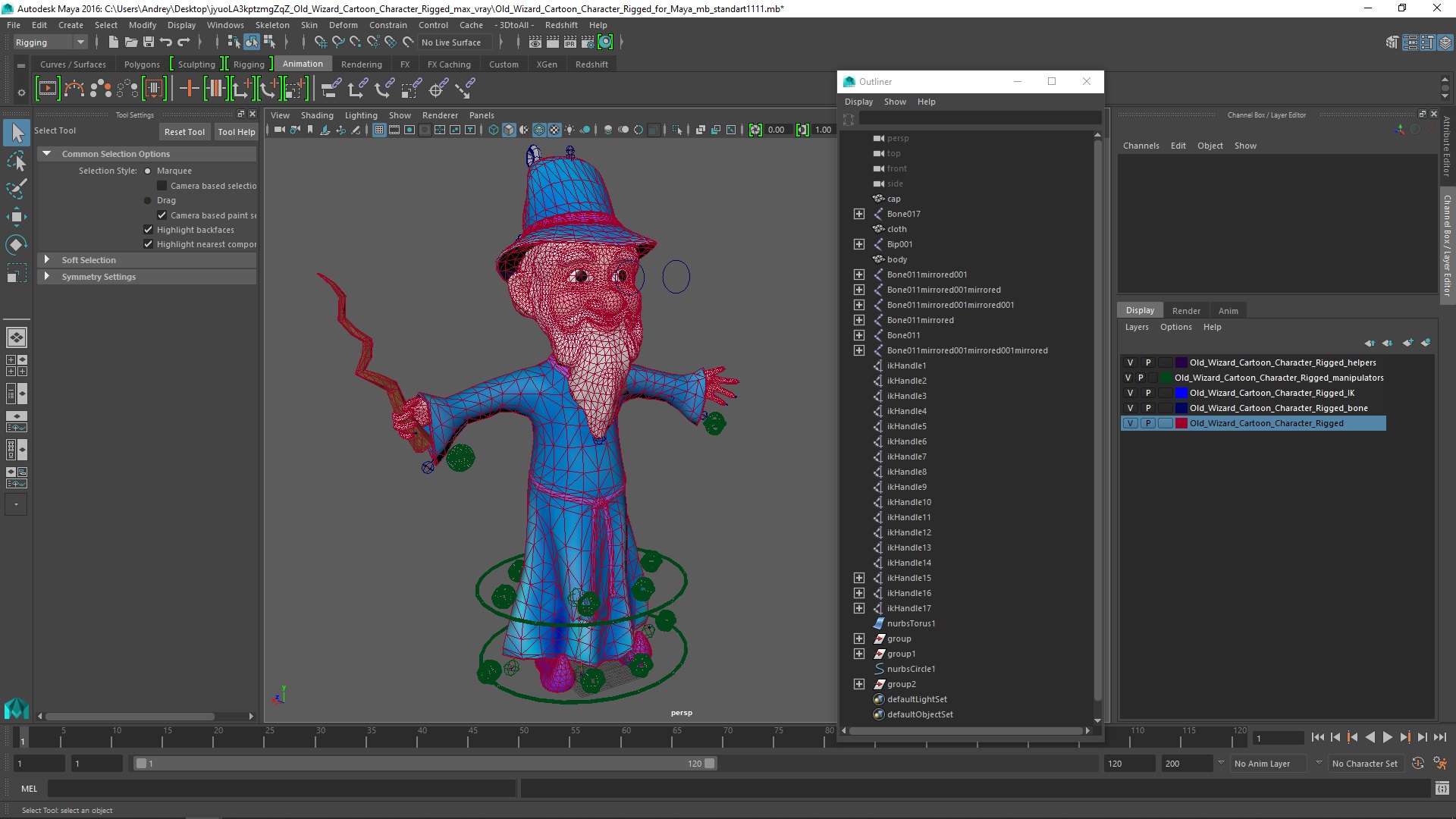 Old Wizard Cartoon Character Rigged for Maya 3D model