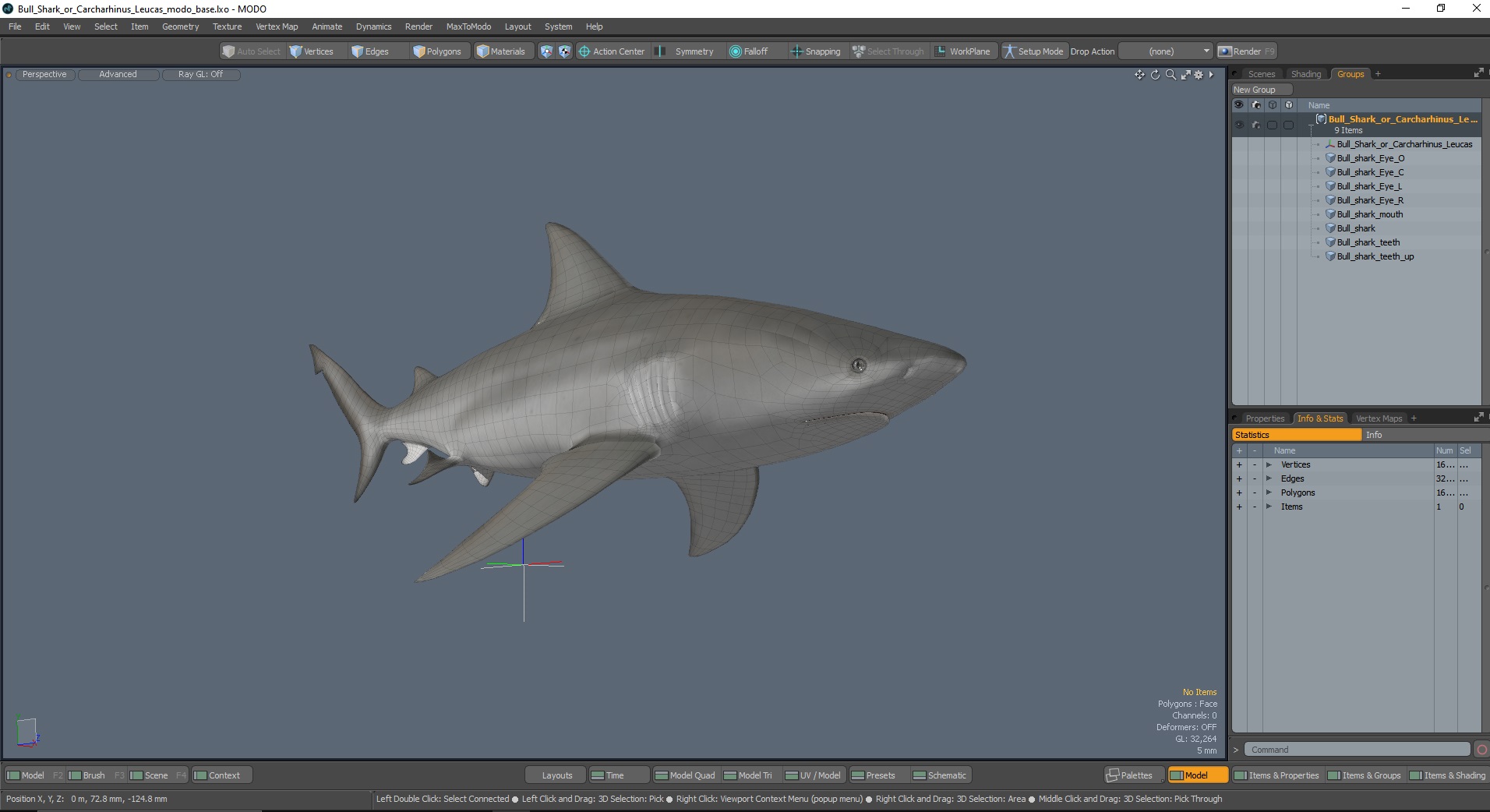 3D Bull Shark or Carcharhinus Leucas model