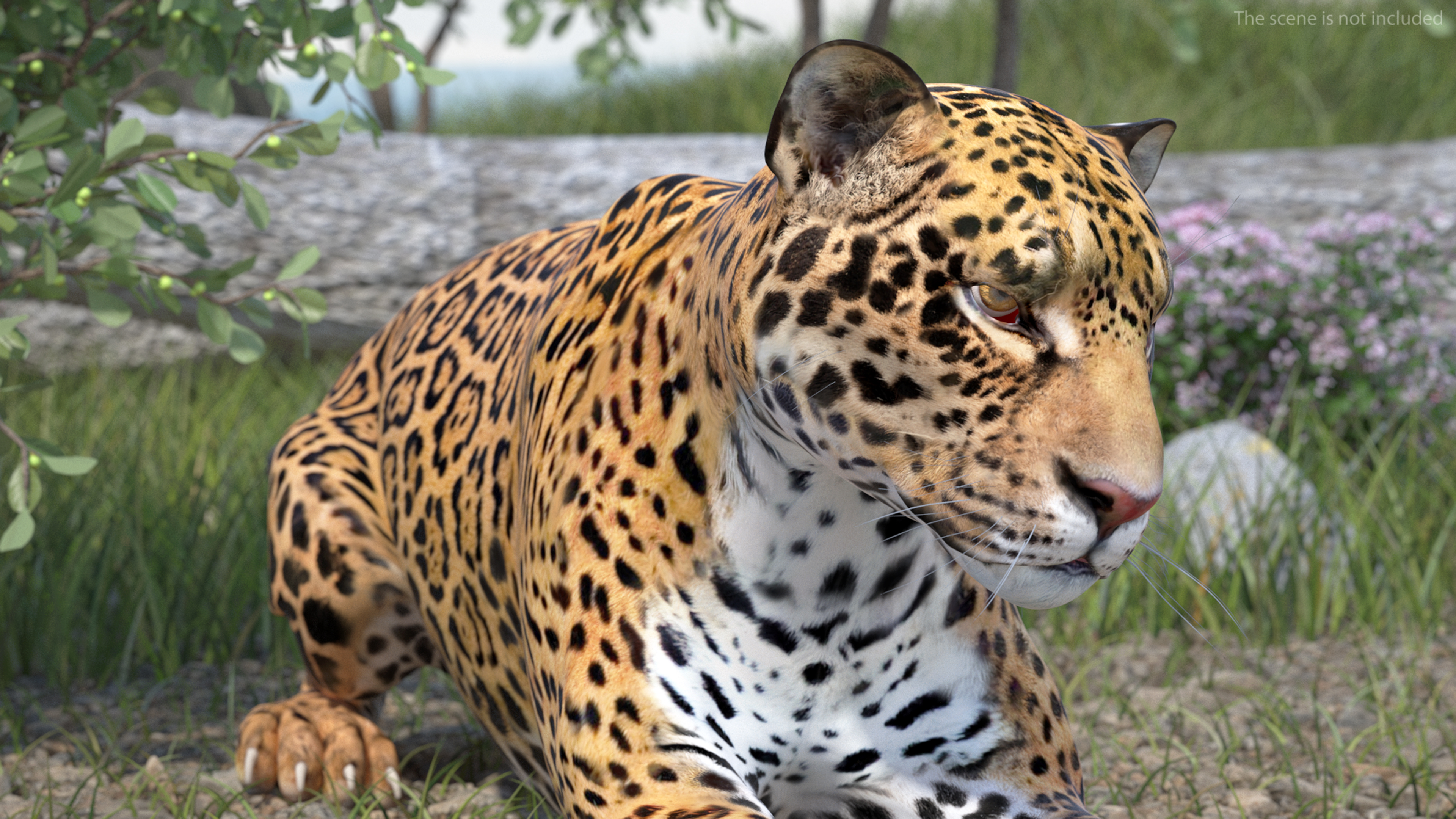 3D Jaguar Rigged model