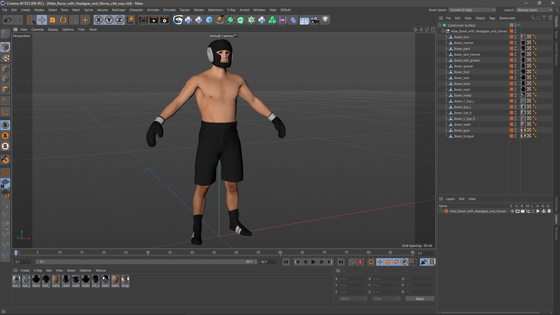 3D model Male Boxer with Headgear and Gloves