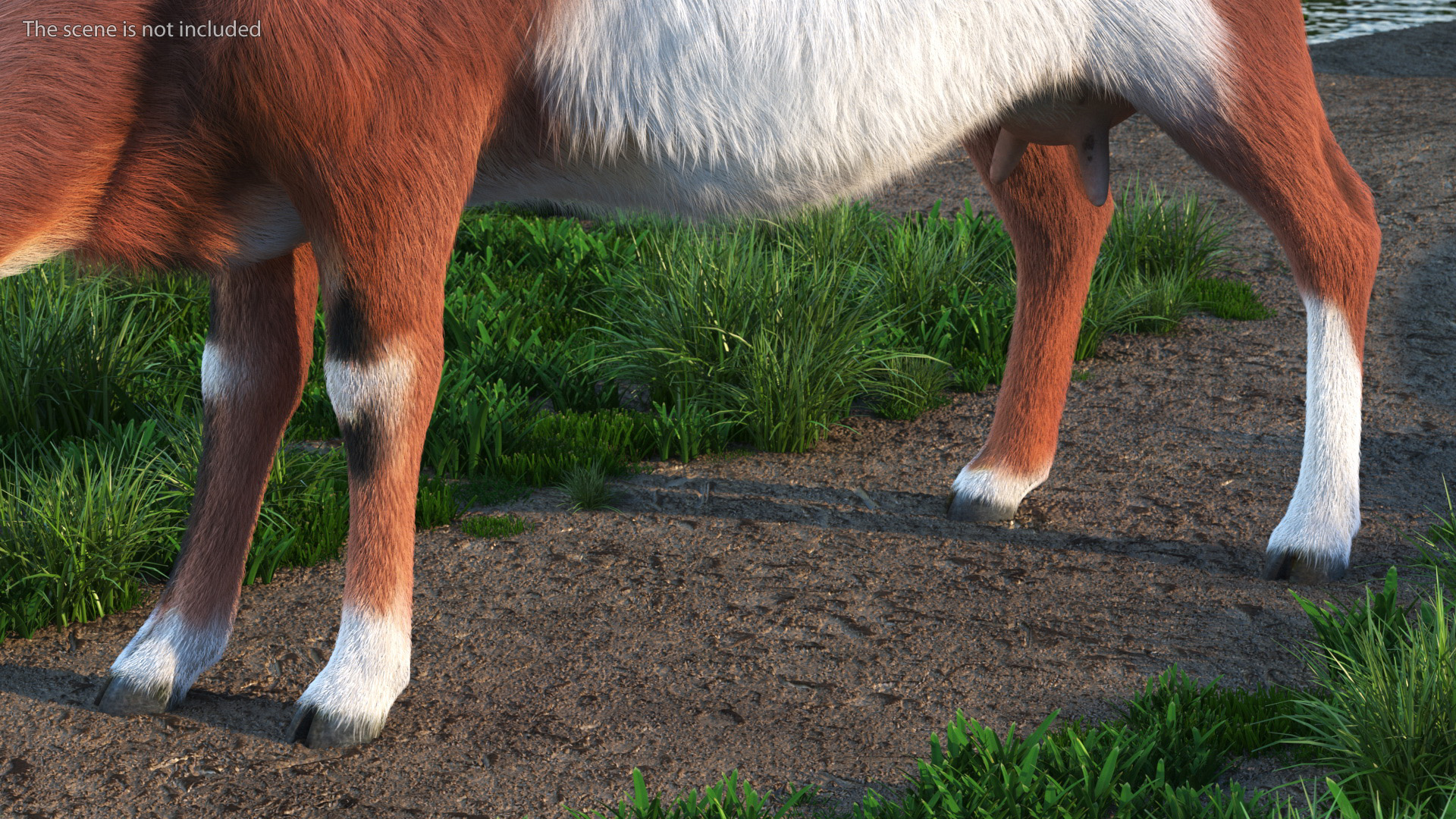 3D Goat on Pasture Brown-White Fur