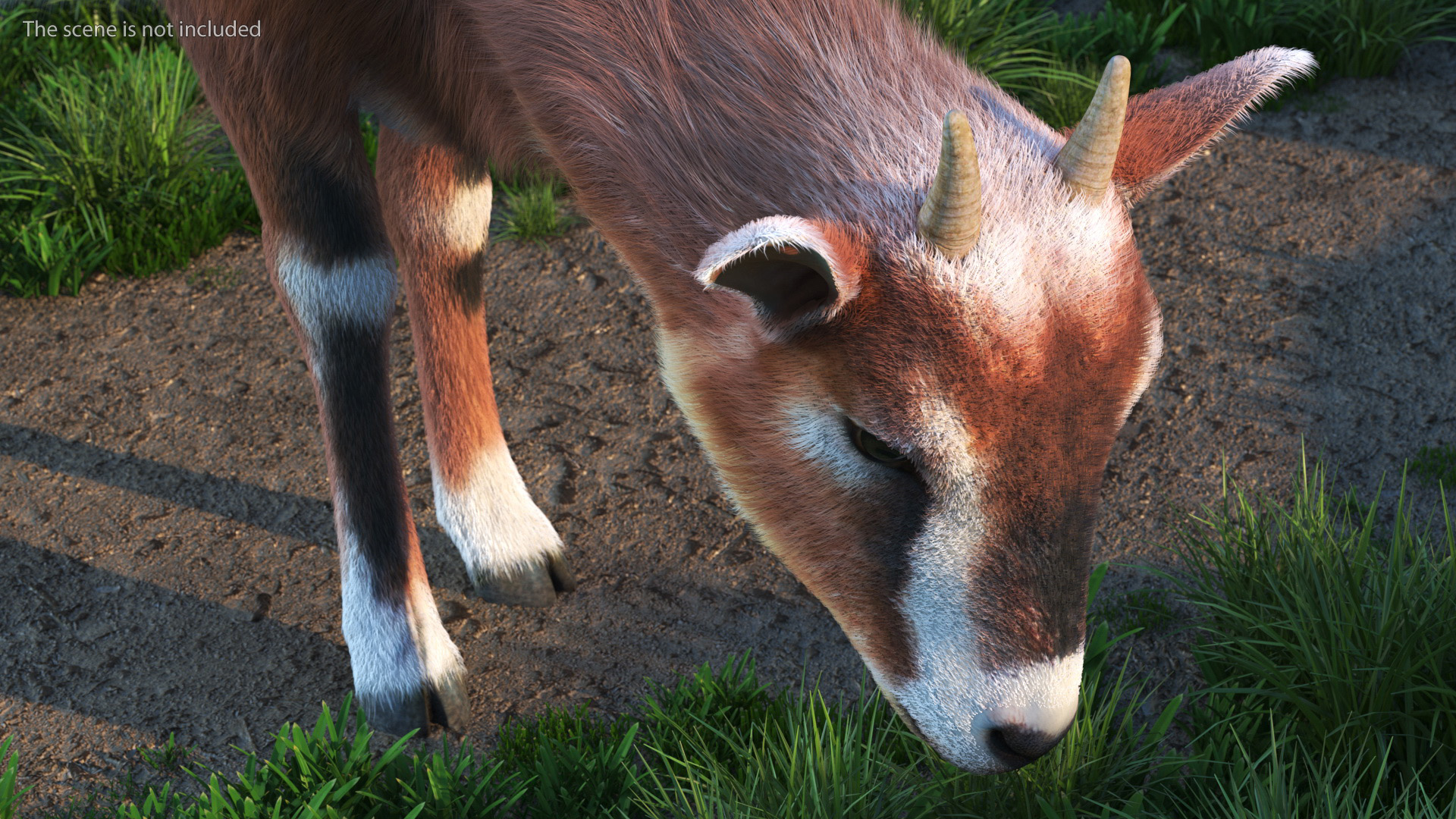 3D Goat on Pasture Brown-White Fur