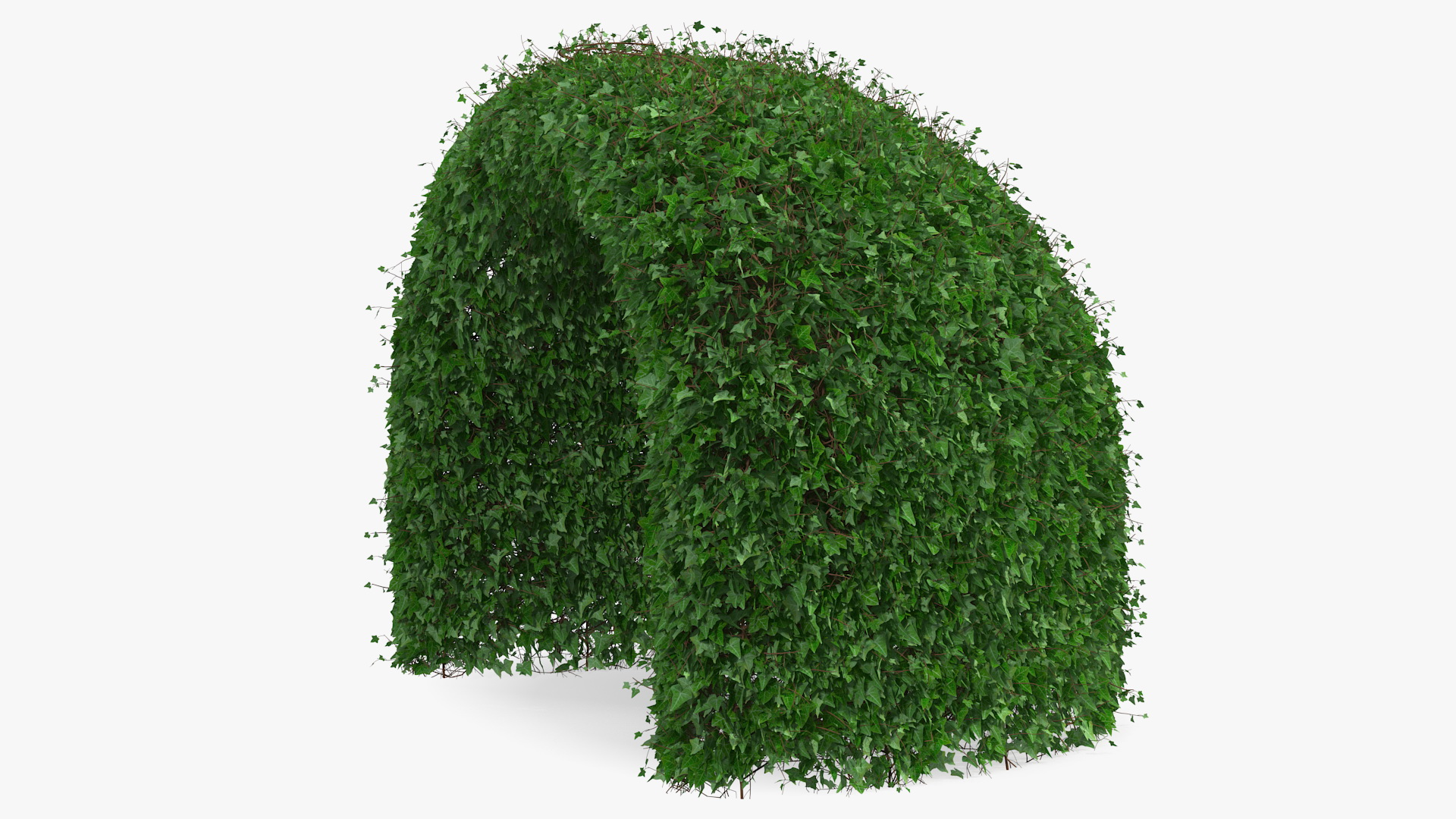 3D Green Gazebo Shrub model