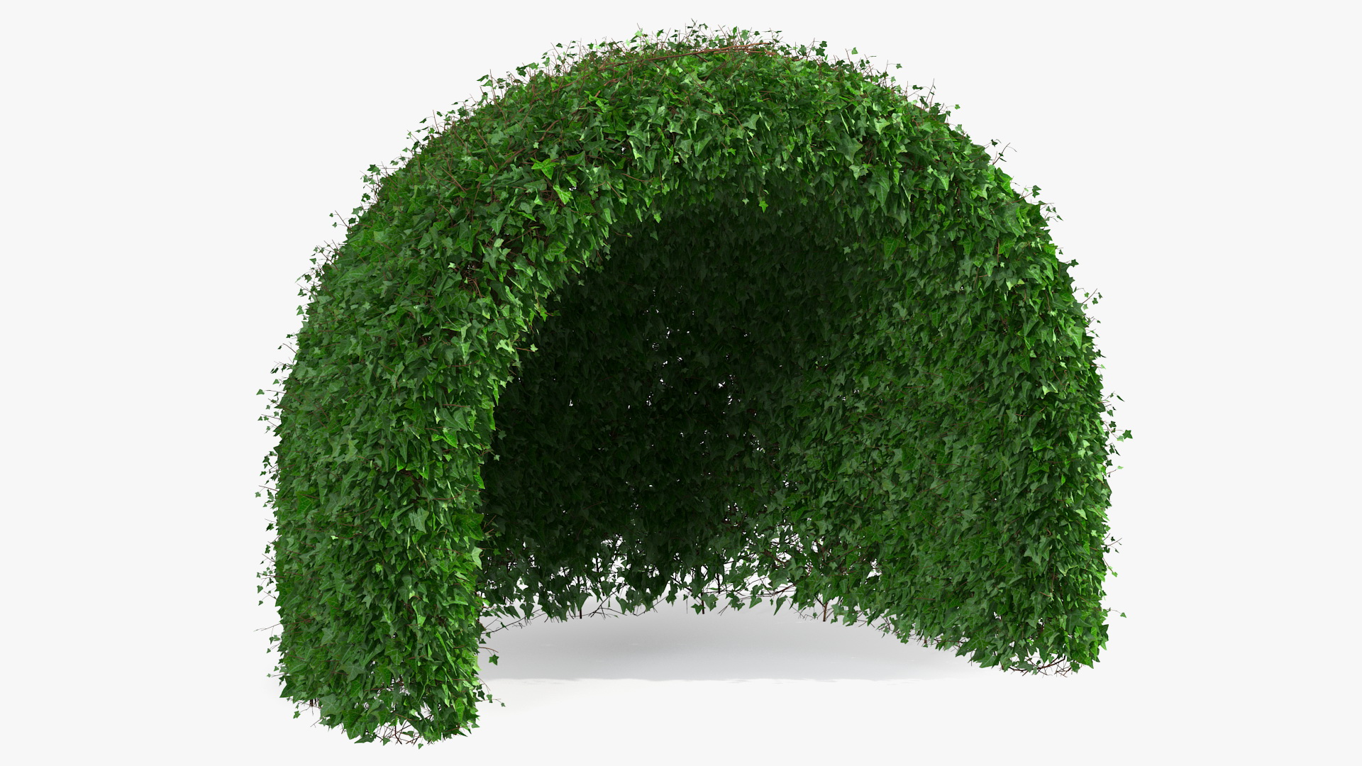 3D Green Gazebo Shrub model