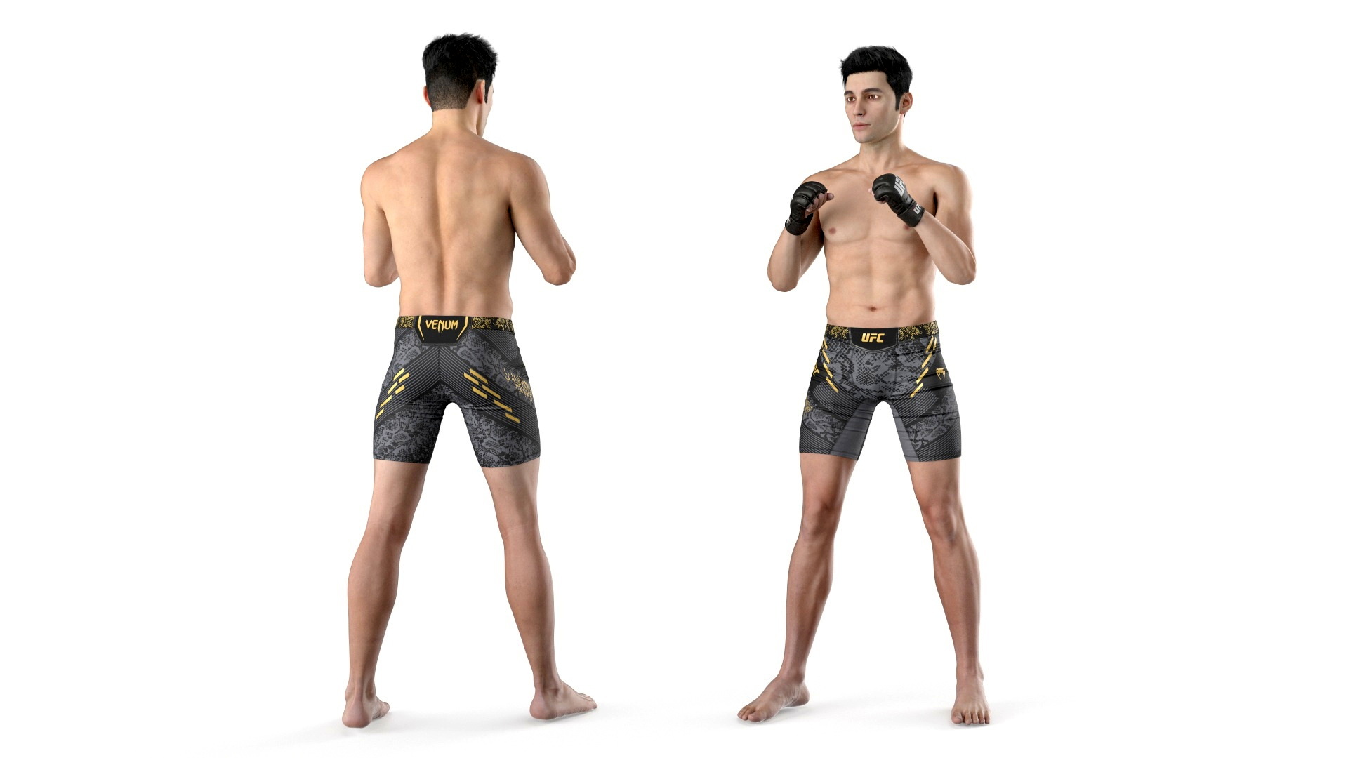 3D UFC MMA Fighter Fur Rigged