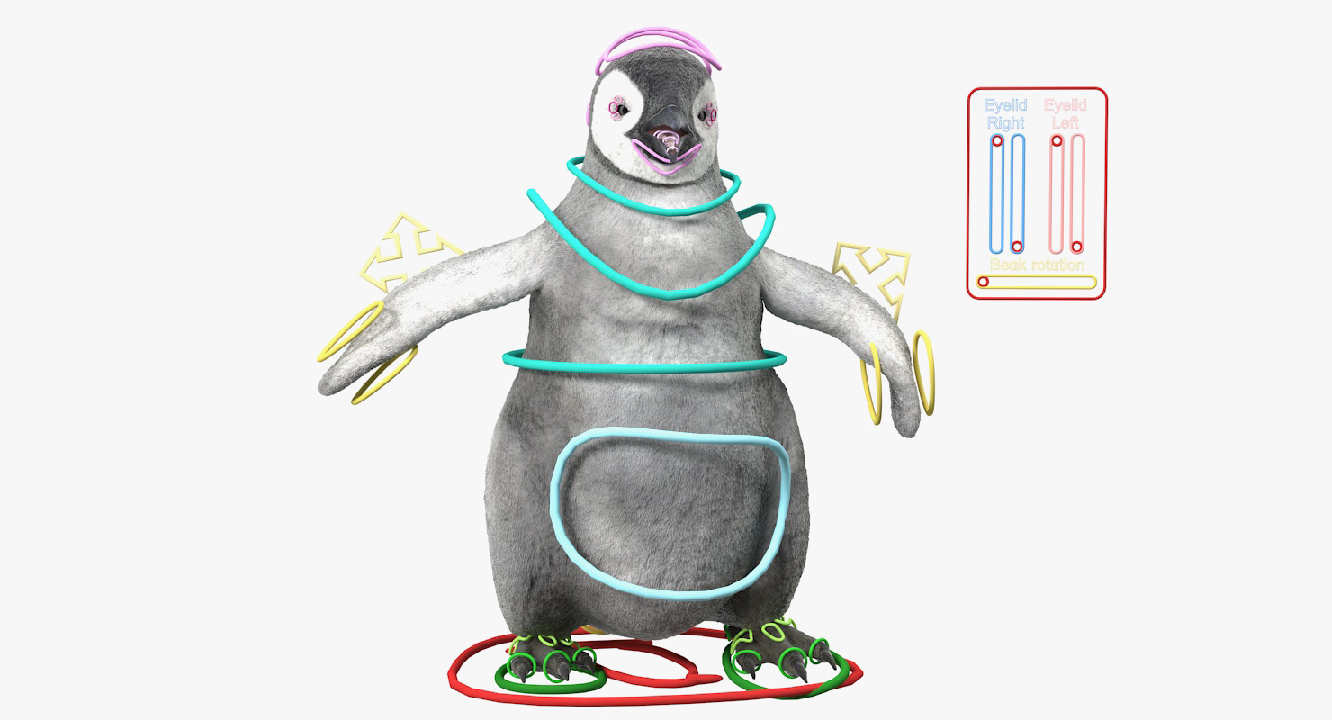 Baby Emperor Penguin Rigged 3D