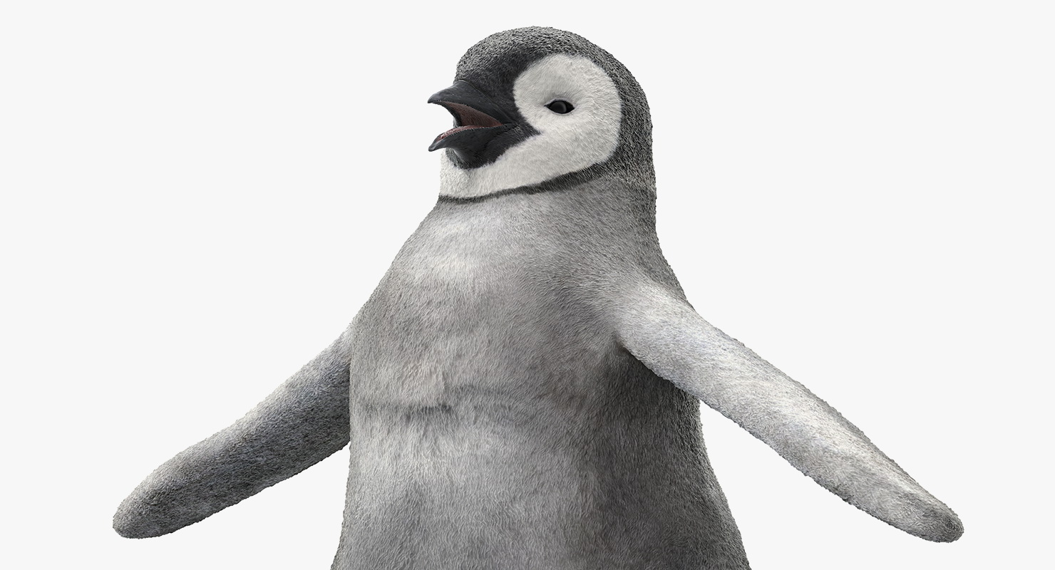 Baby Emperor Penguin Rigged 3D