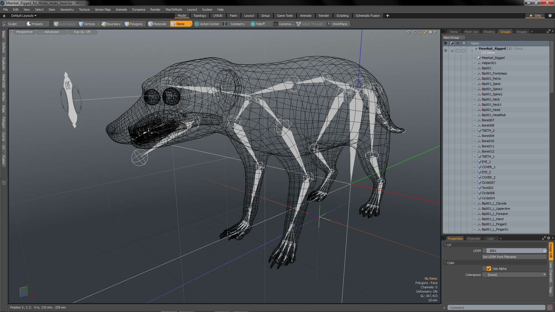 3D Meerkat Rigged for Modo model