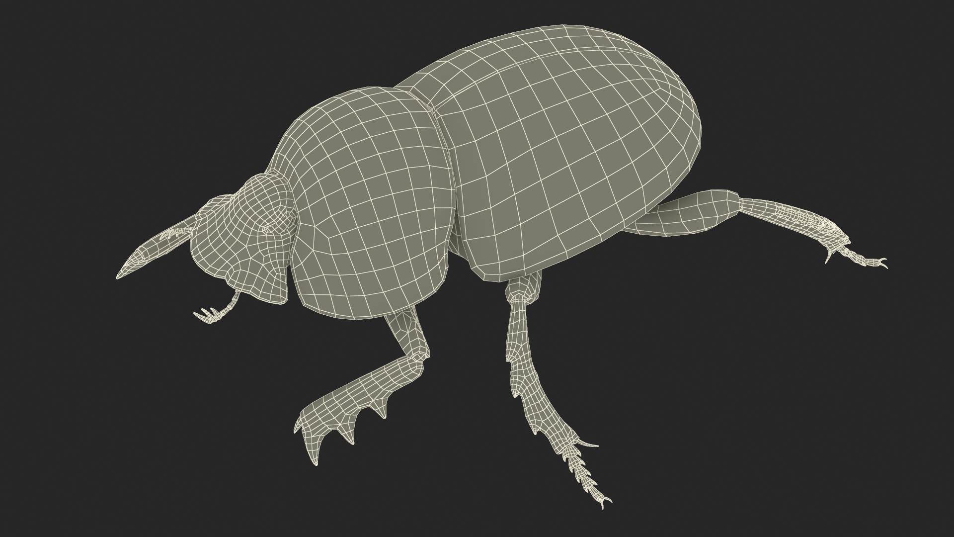 Dung Beetle Crawling Dirt Fur 3D model