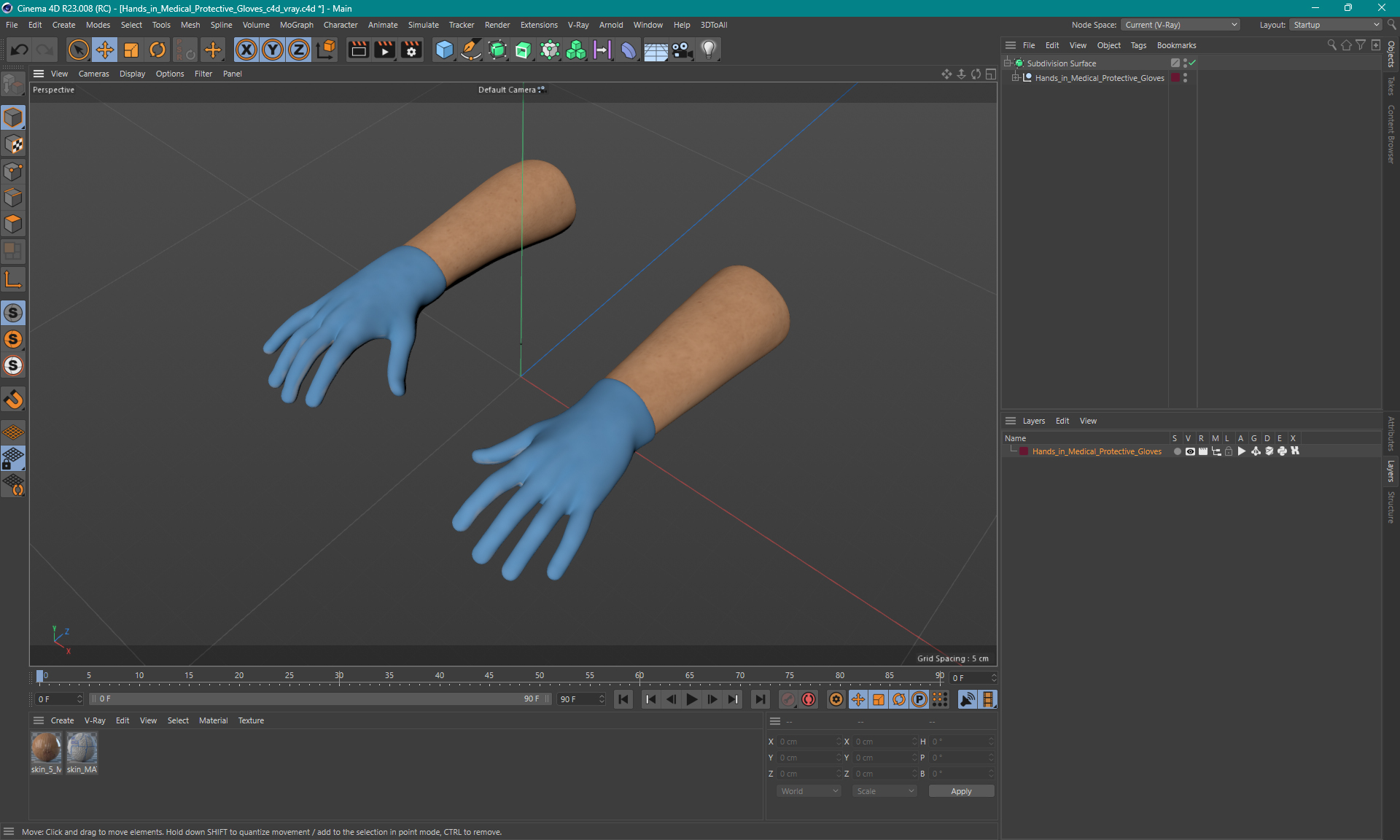 Hands in Medical Protective Gloves 3D model