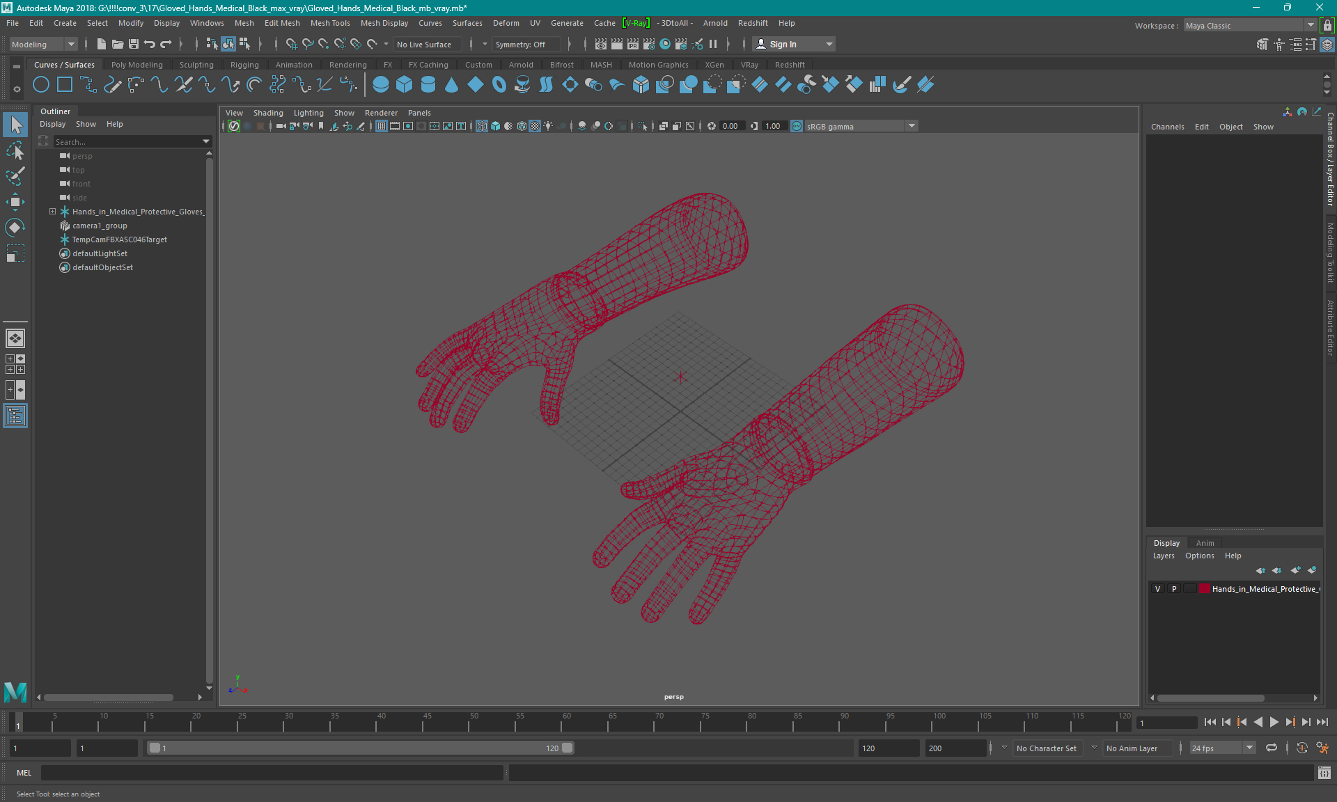 Hands in Medical Protective Gloves 3D model