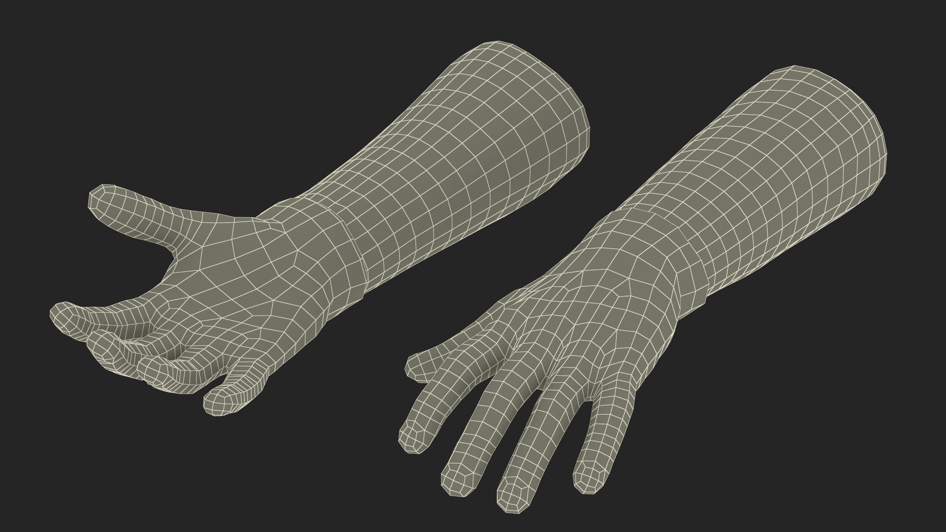 Hands in Medical Protective Gloves 3D model