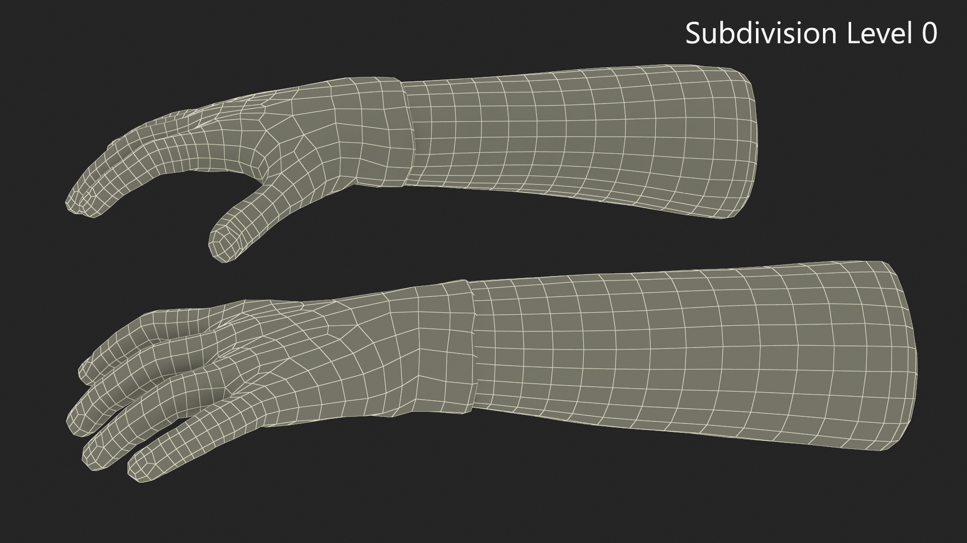 Hands in Medical Protective Gloves 3D model