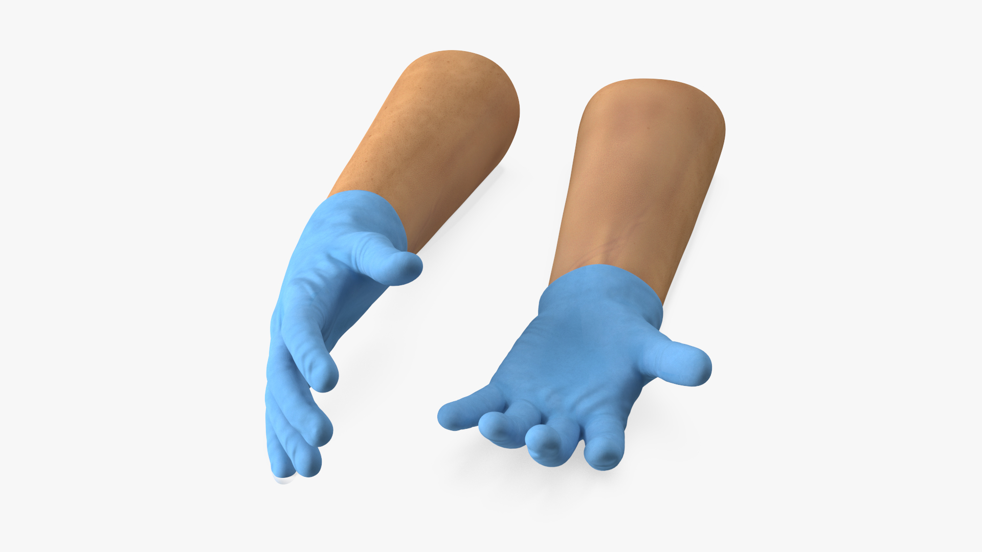 Hands in Medical Protective Gloves 3D model