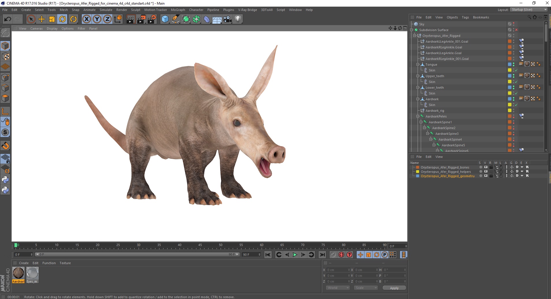 Orycteropus Afer Rigged for Cinema 4D 3D