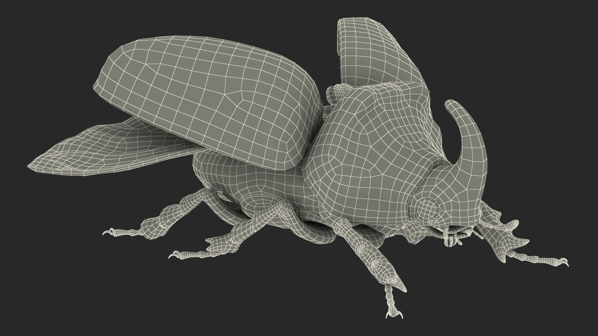 3D Oryctes Nasicornis Rhinoceros Beetle