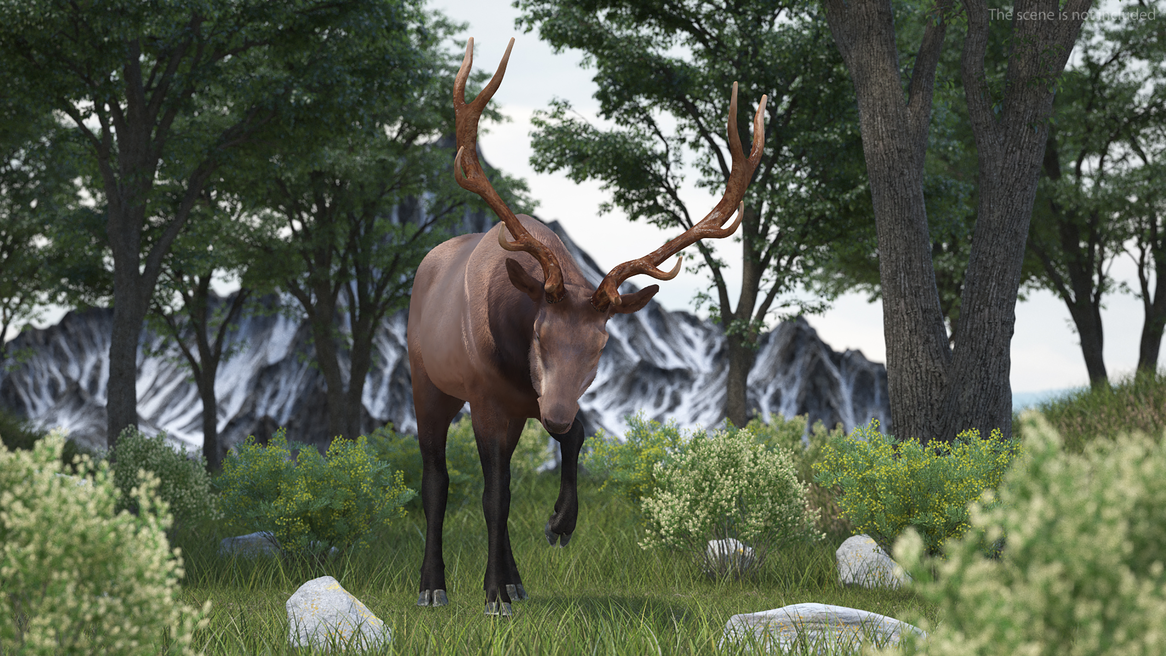 3D model Wapiti with Fur