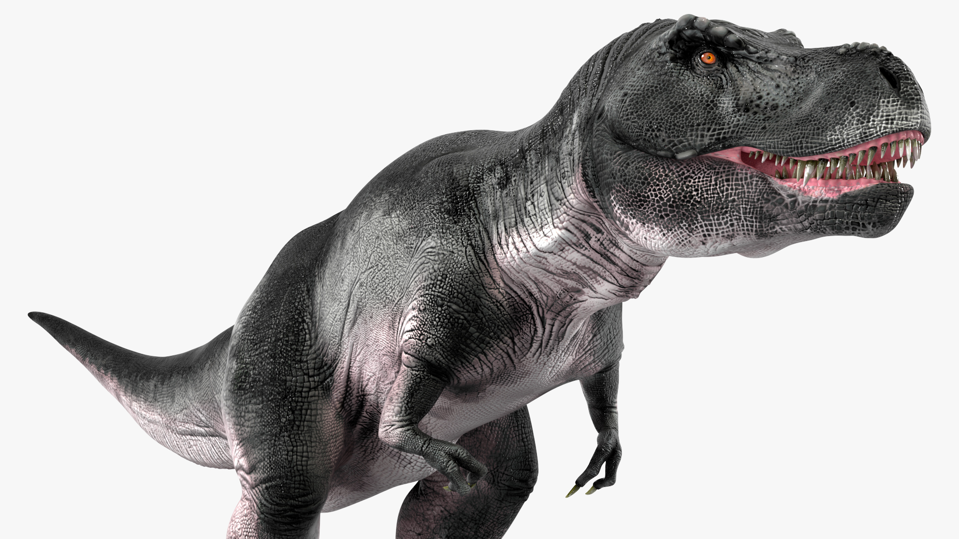 T Rex Eating Animated Rigged for Maya 3D