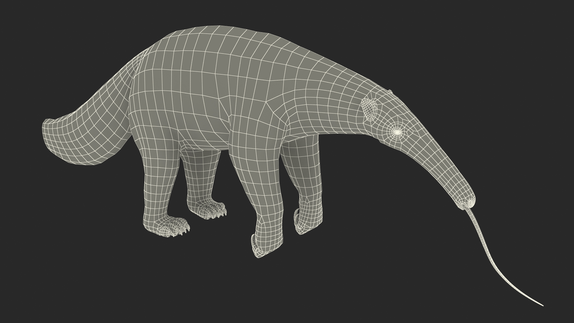 Anteater Rigged Fur 3D model