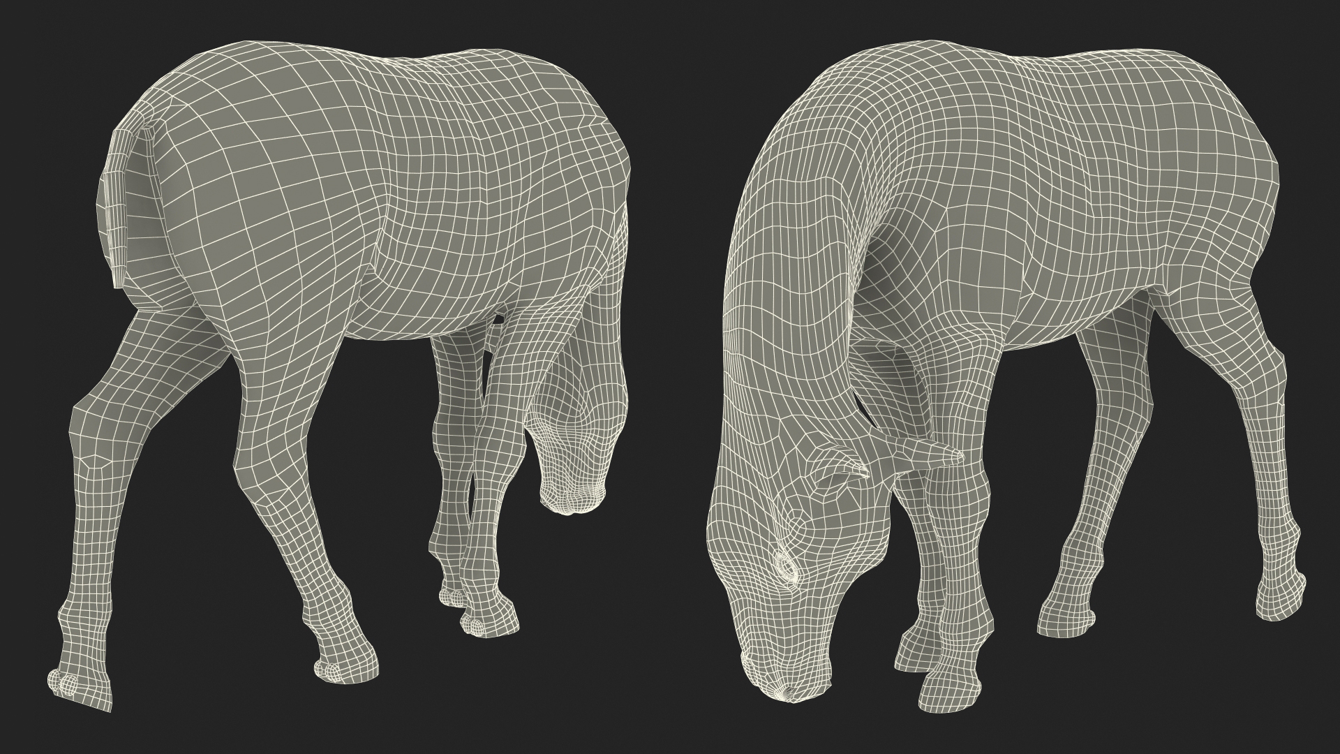 3D Shetland Pony in Grazing Pose Fur model