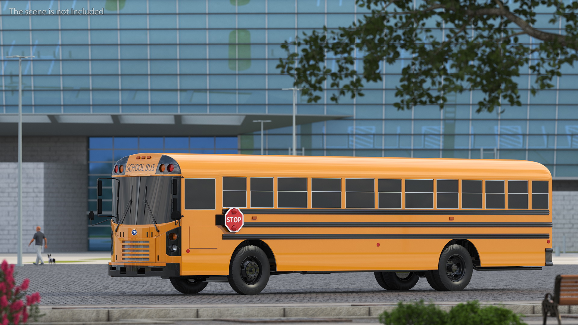 3D Blue Bird TX3 School Bus Exterior Only model