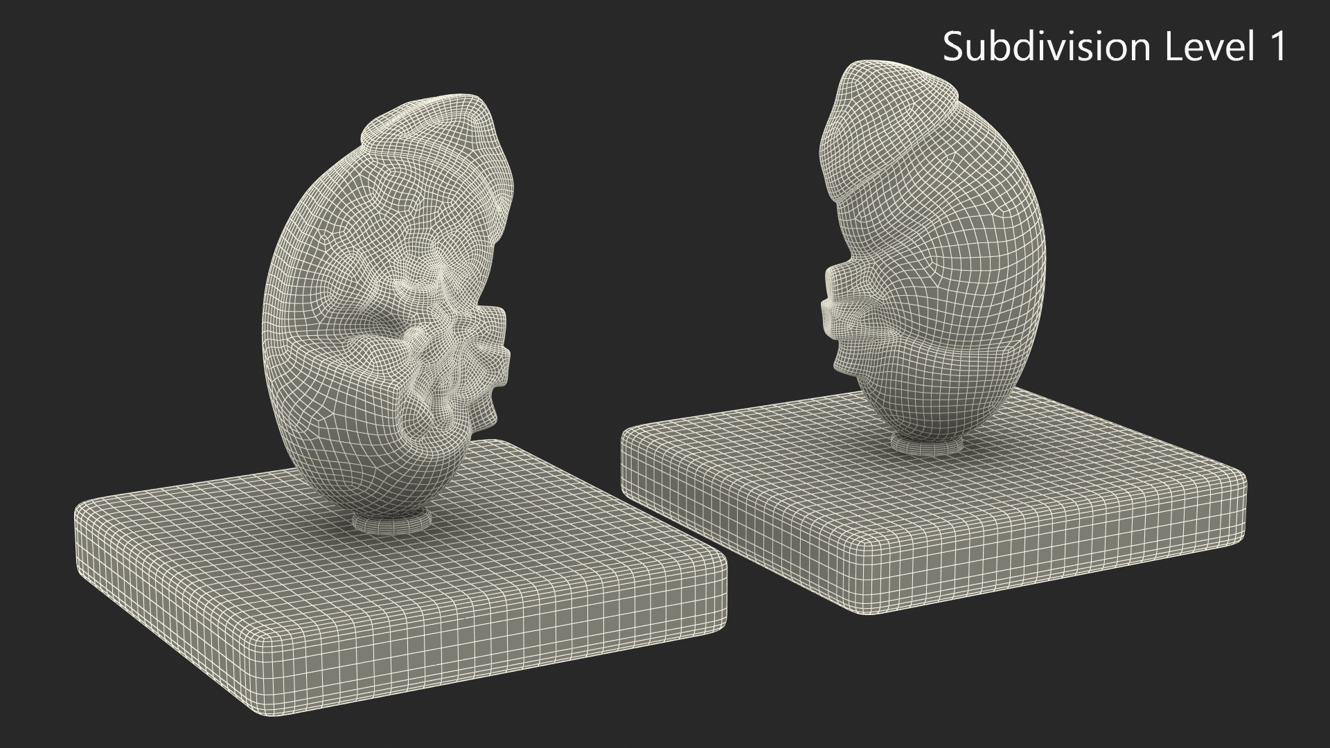 Kidney Inside Medical Model 3D