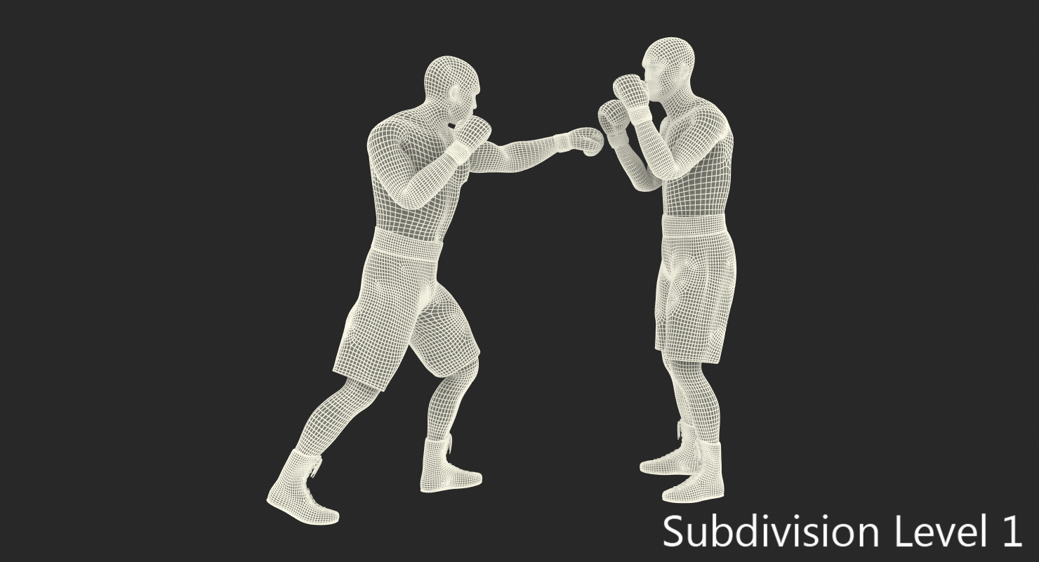 Two Boxers 4 3D