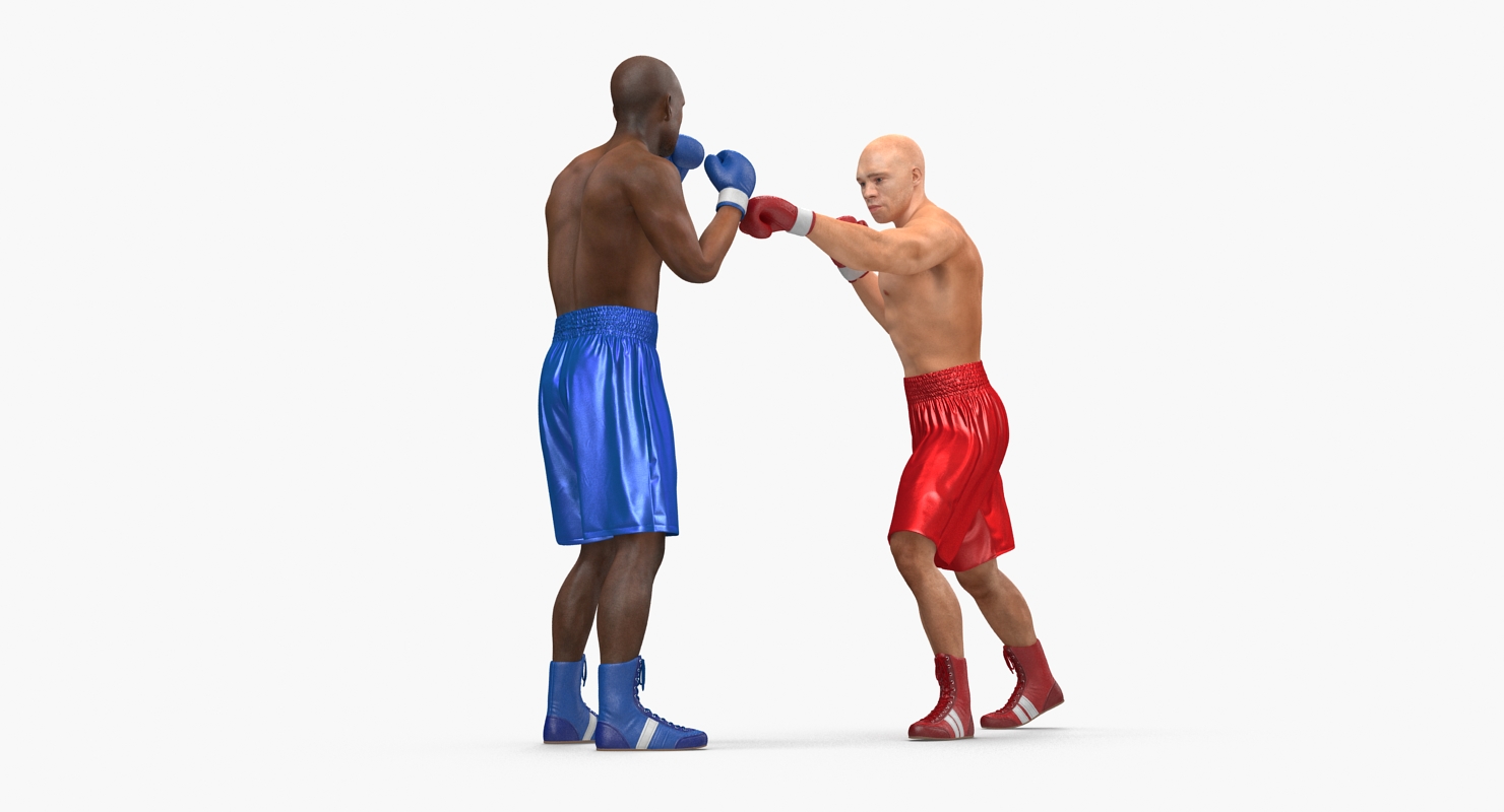 Two Boxers 4 3D