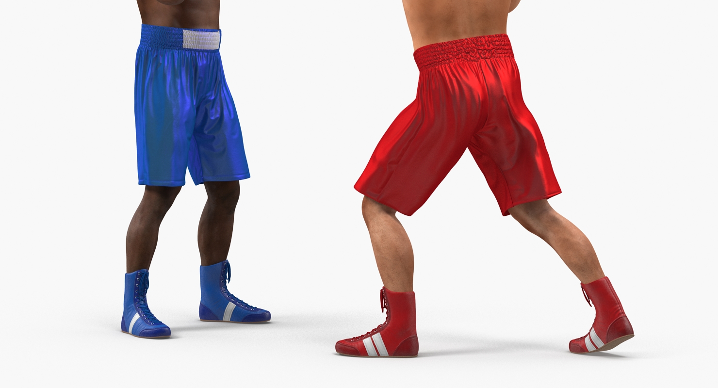 Two Boxers 4 3D