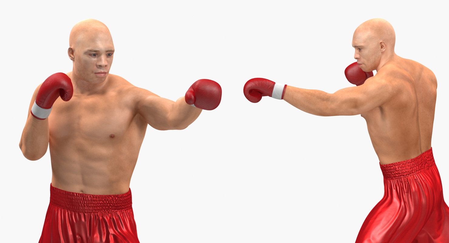 Two Boxers 4 3D