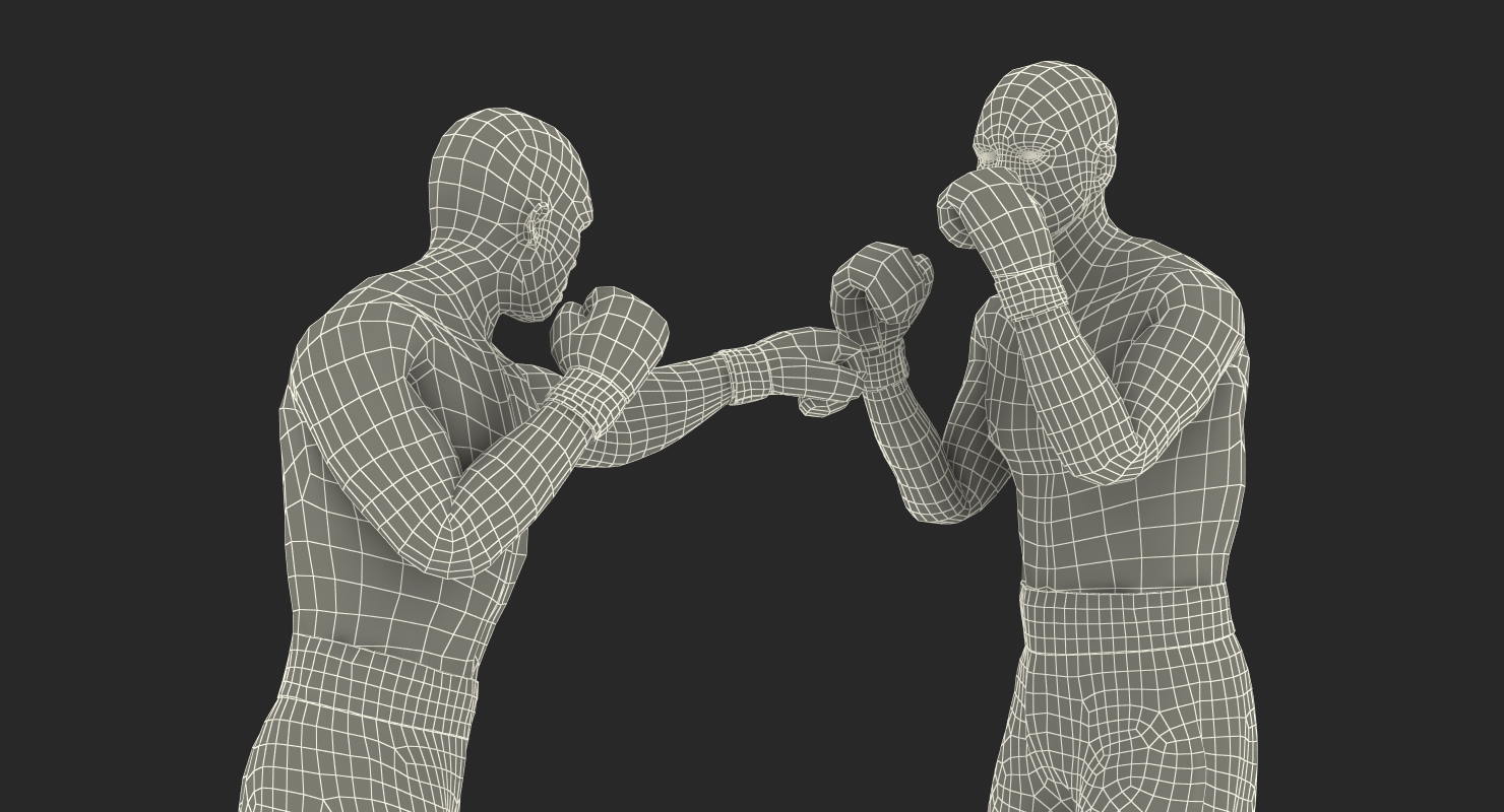 Two Boxers 4 3D