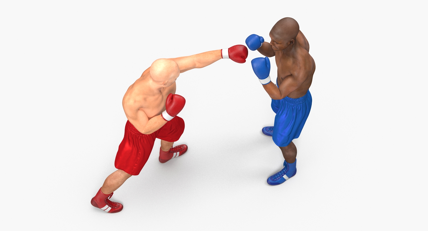 Two Boxers 4 3D