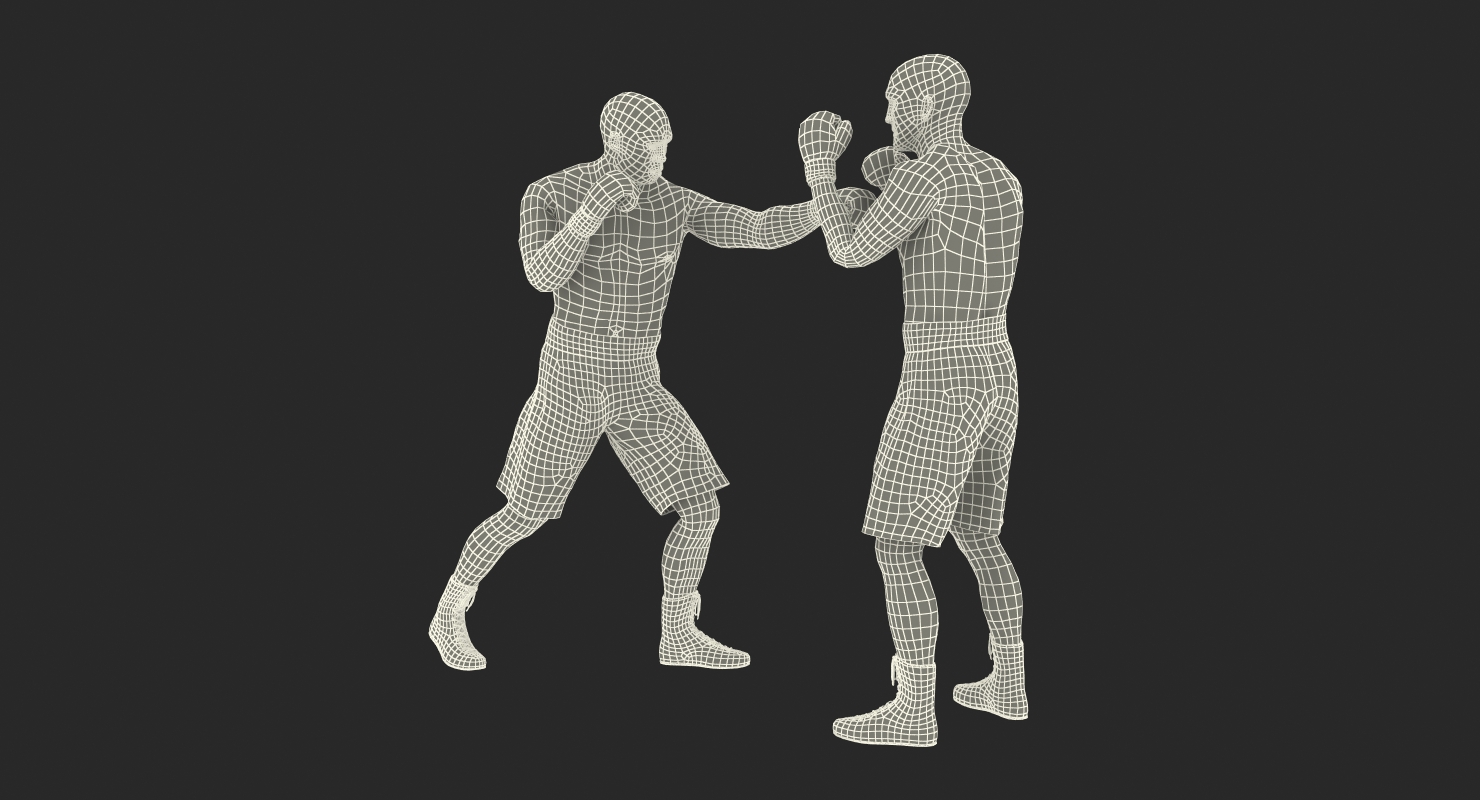 Two Boxers 4 3D