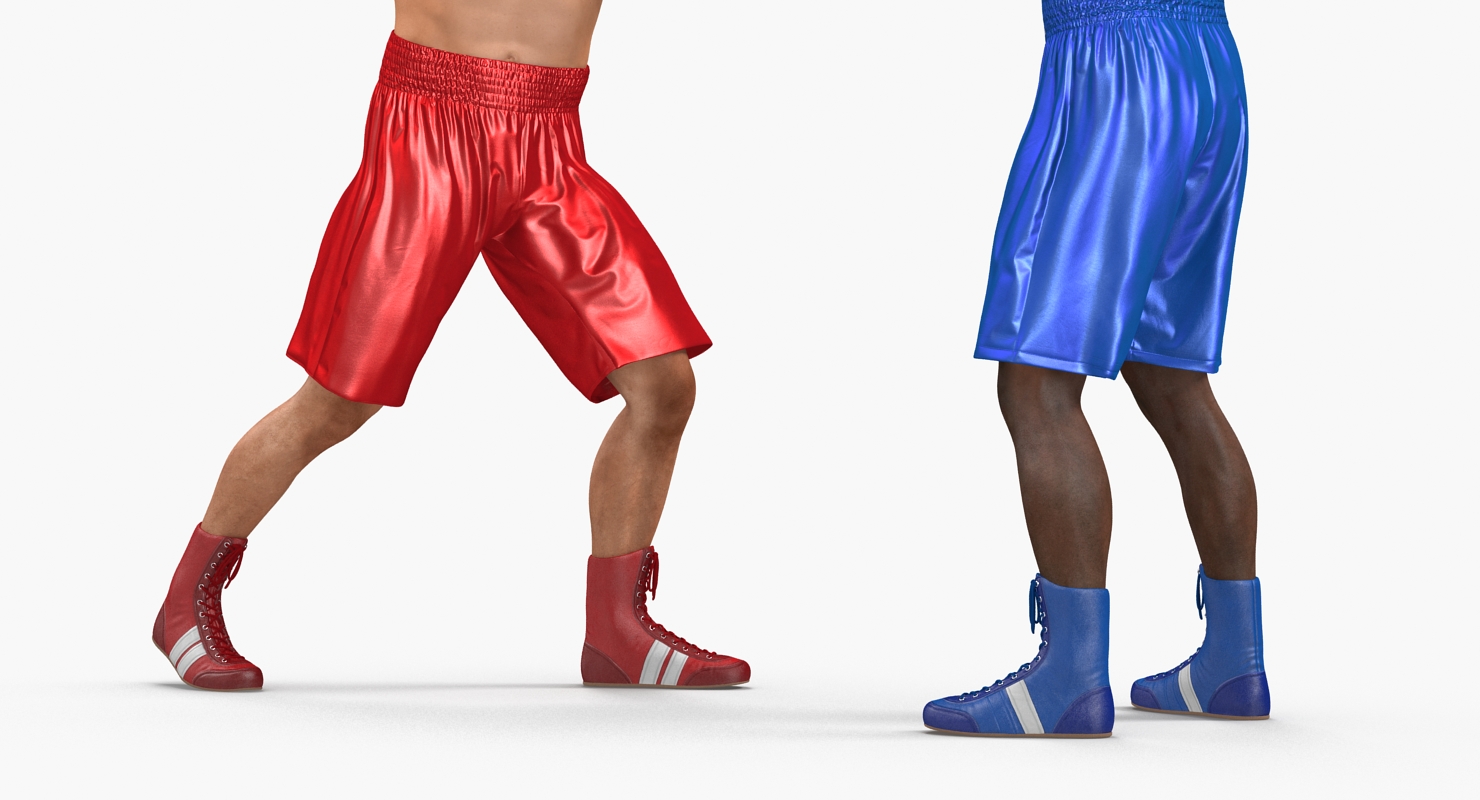 Two Boxers 4 3D