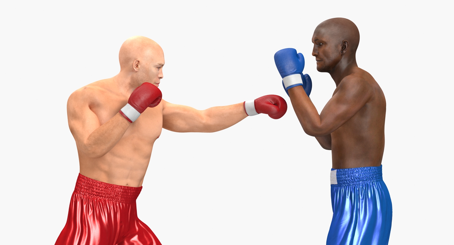 Two Boxers 4 3D