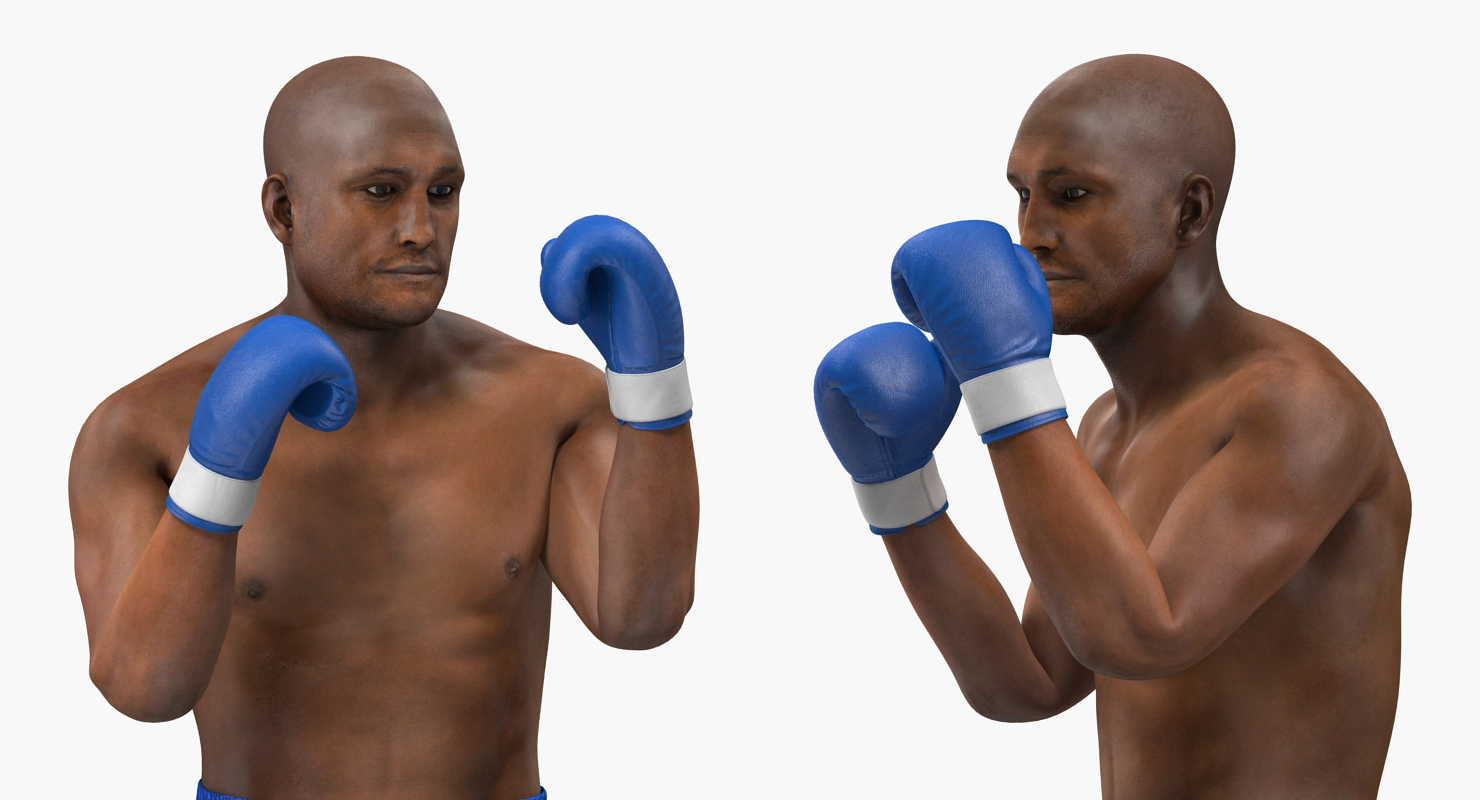 Two Boxers 4 3D