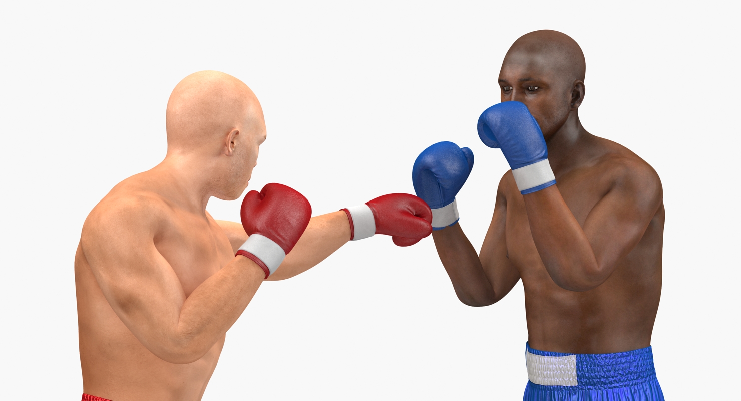 Two Boxers 4 3D