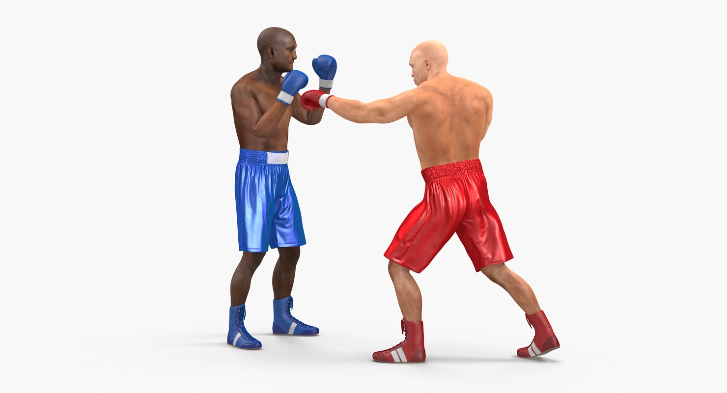 Two Boxers 4 3D