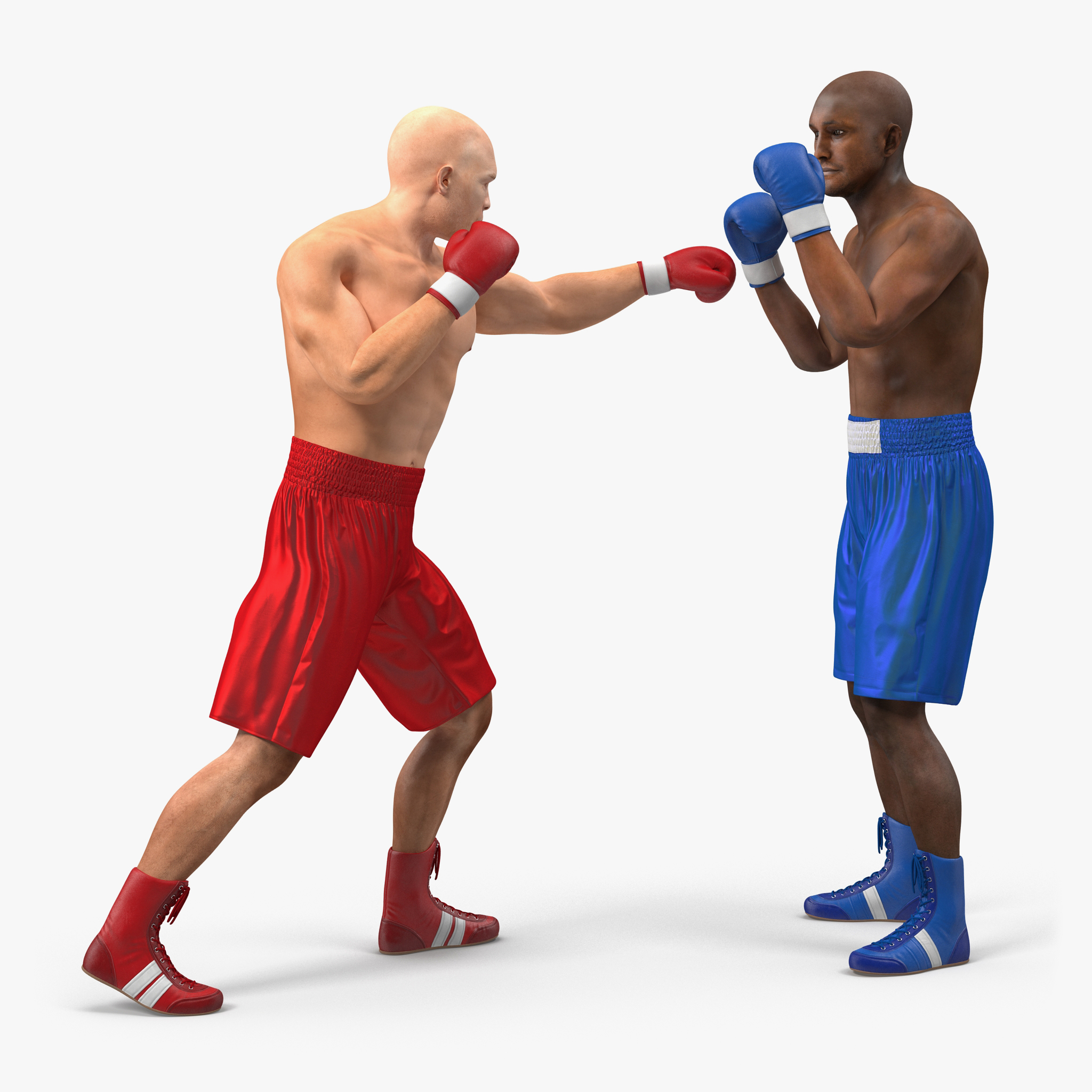 Two Boxers 4 3D