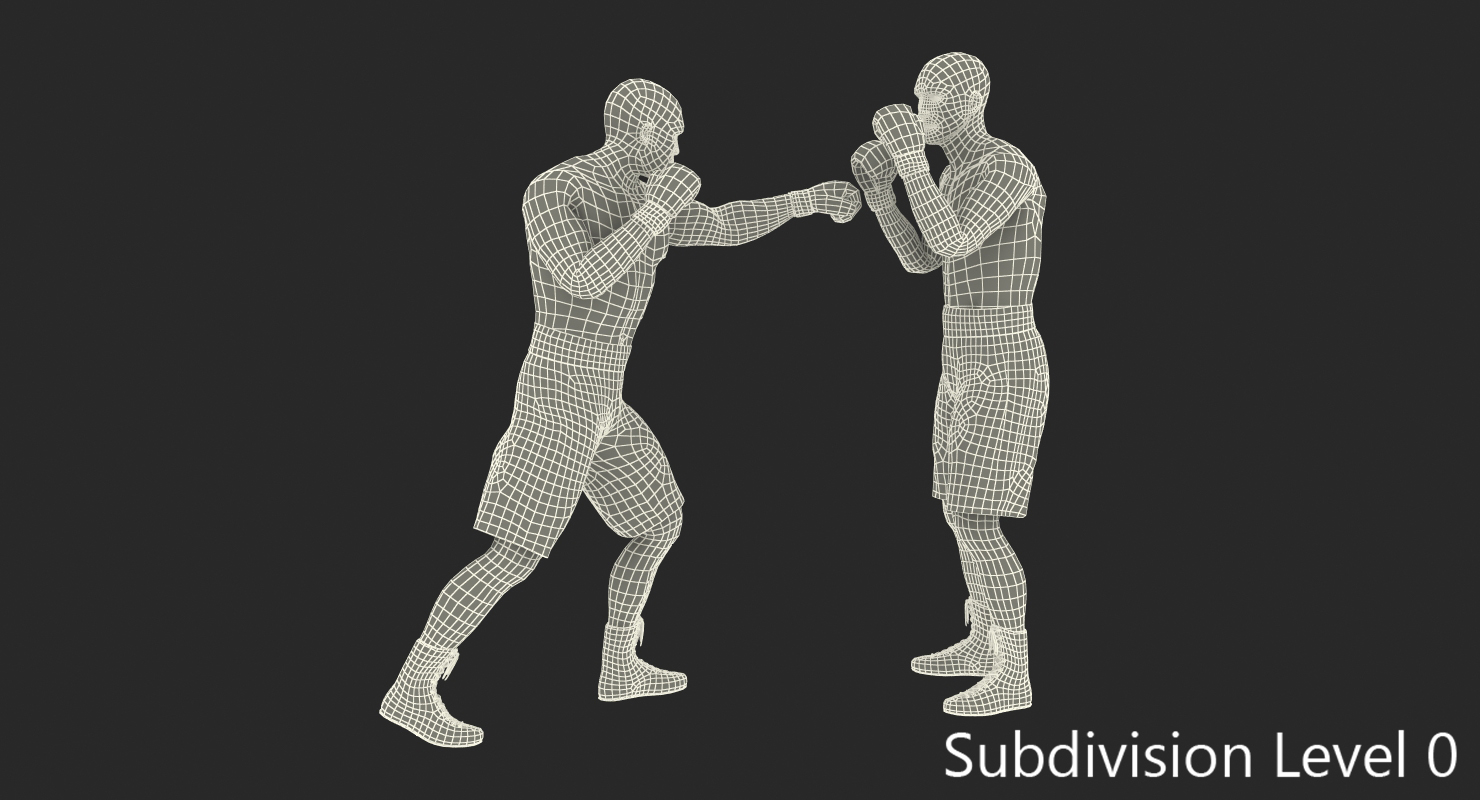 Two Boxers 4 3D