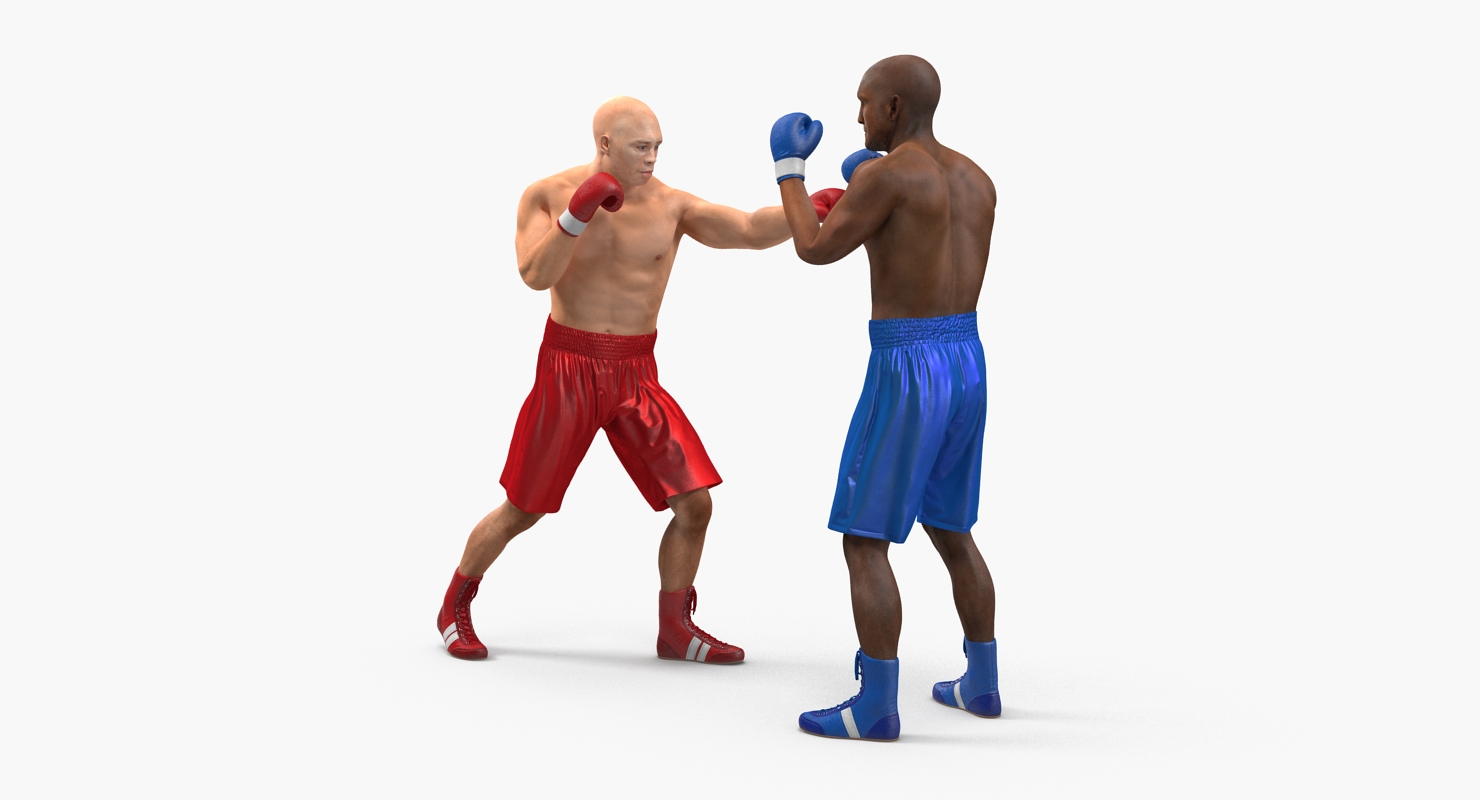 Two Boxers 4 3D