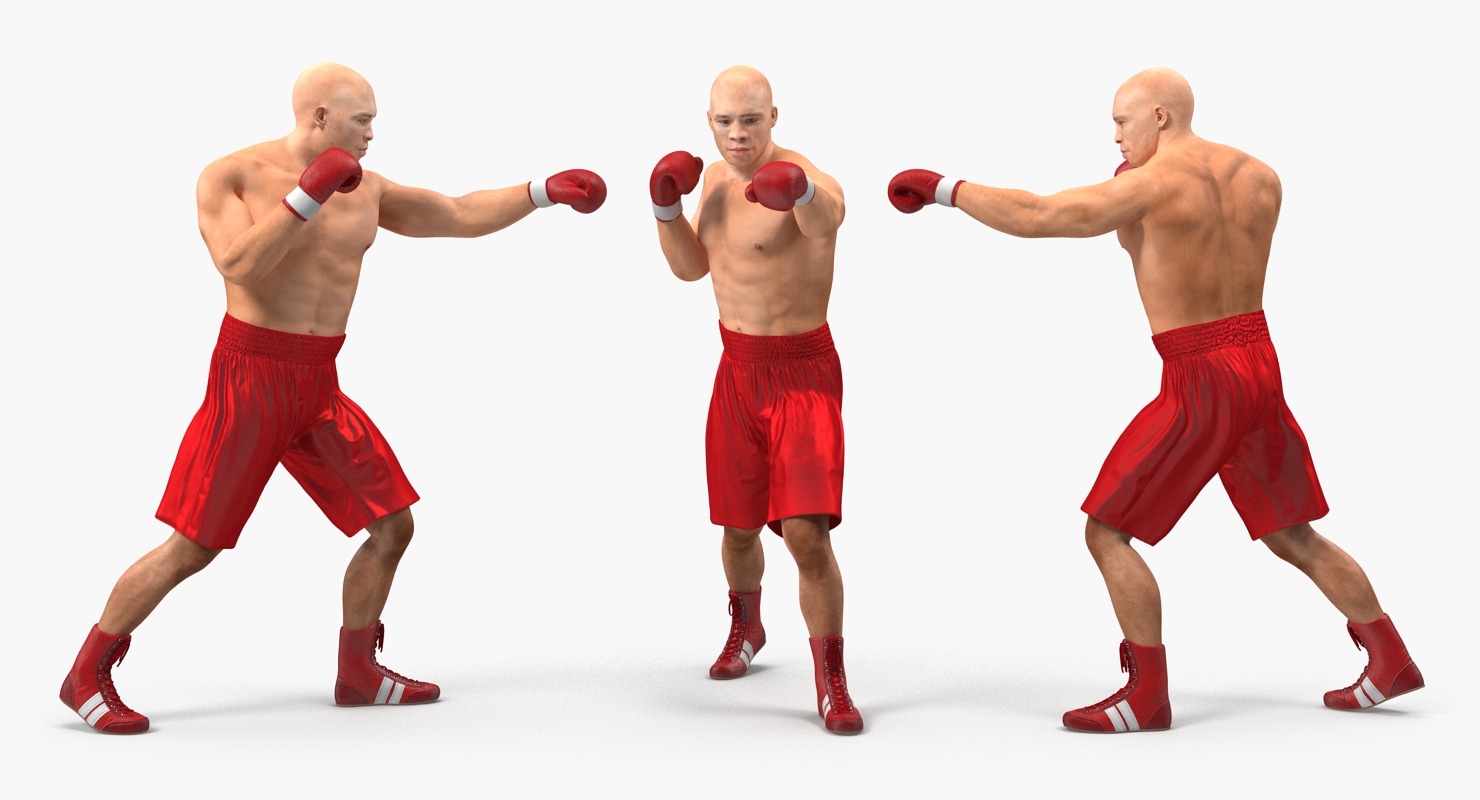 Two Boxers 4 3D